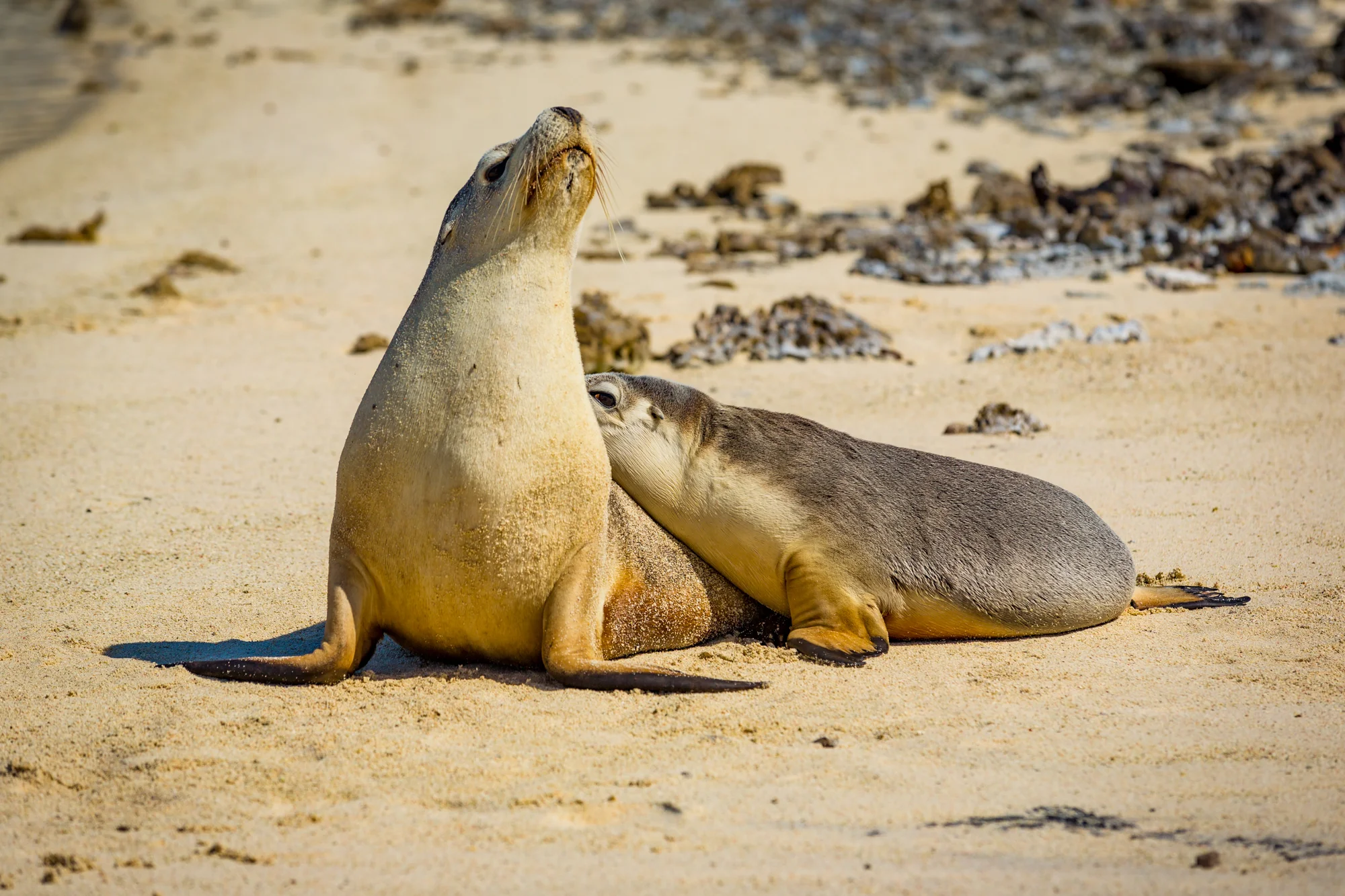 Eco-Abrolhos-5098.jpg