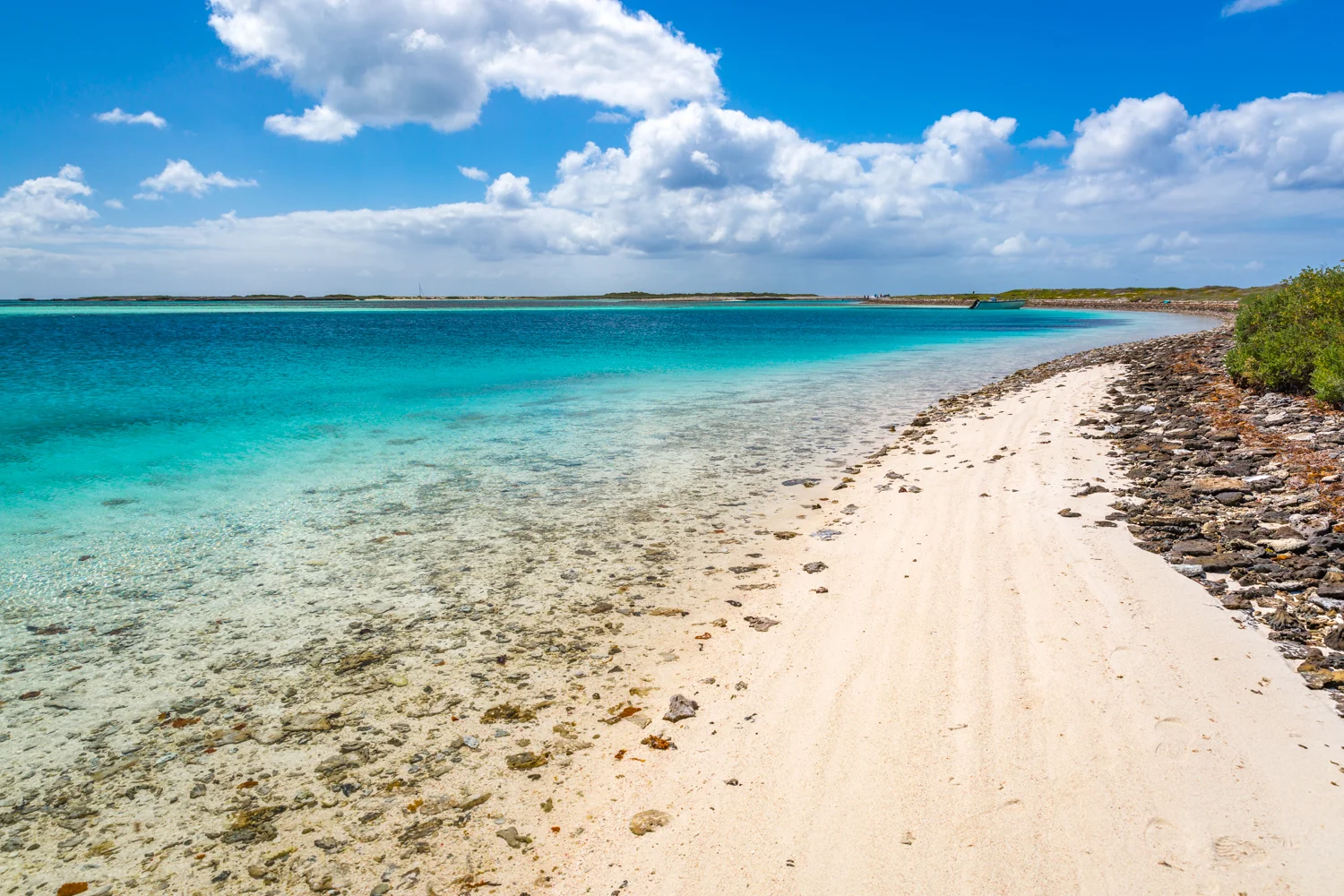 Eco Abrolhos-5183.jpg