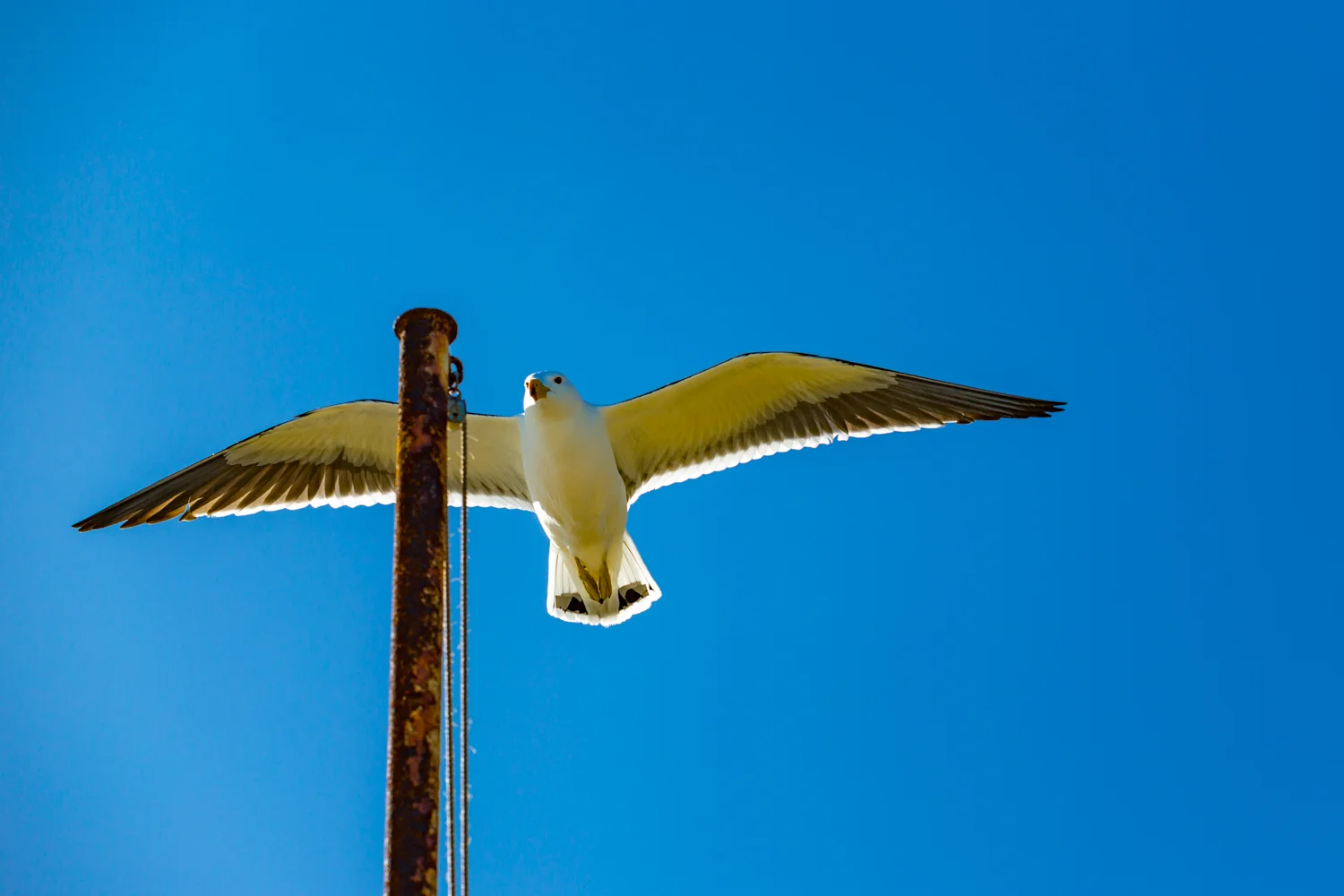 Eco Abrolhos-5353.jpg