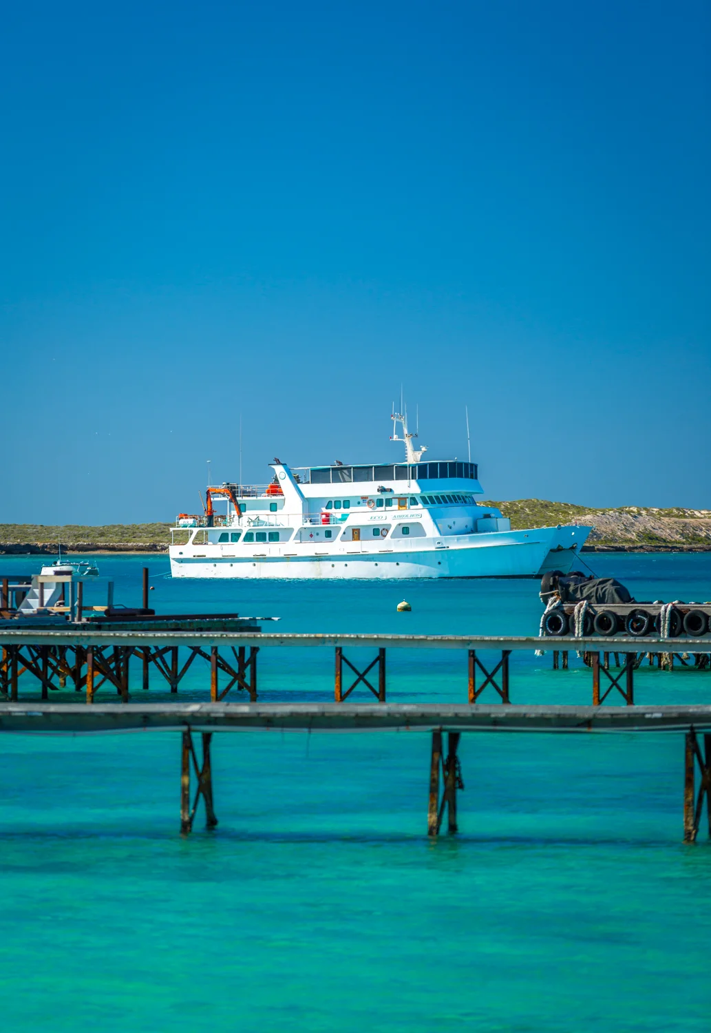 Eco Abrolhos-5348.jpg