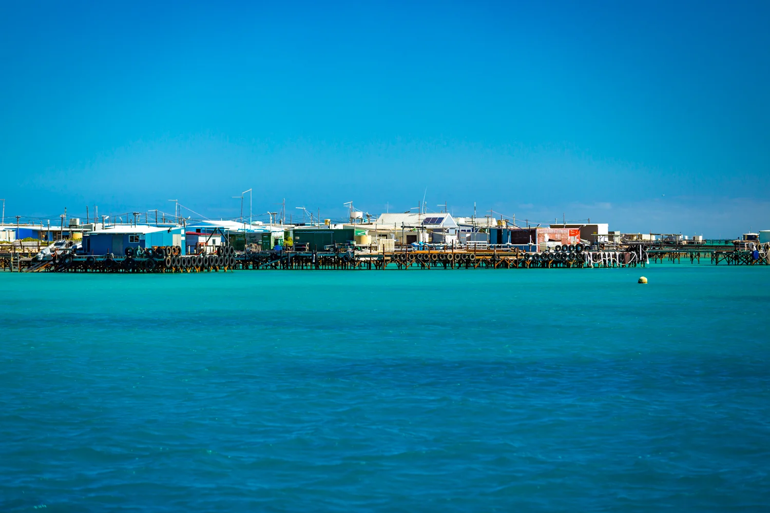Eco Abrolhos-5313.jpg