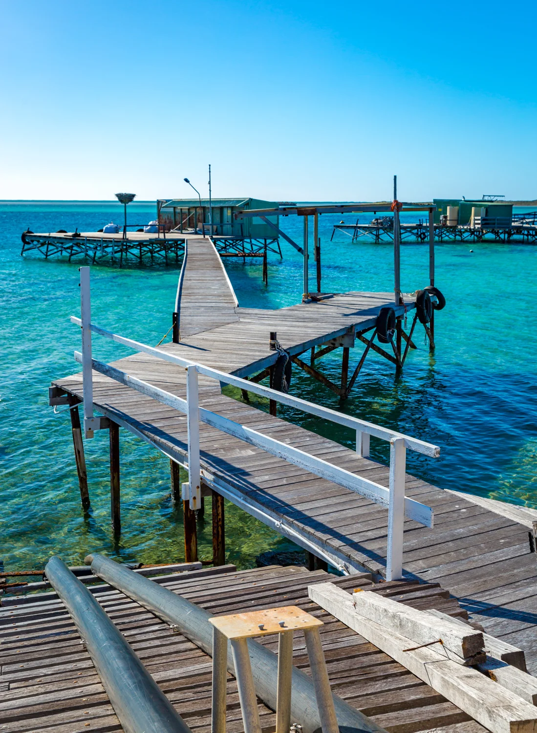 Eco Abrolhos-5351.jpg