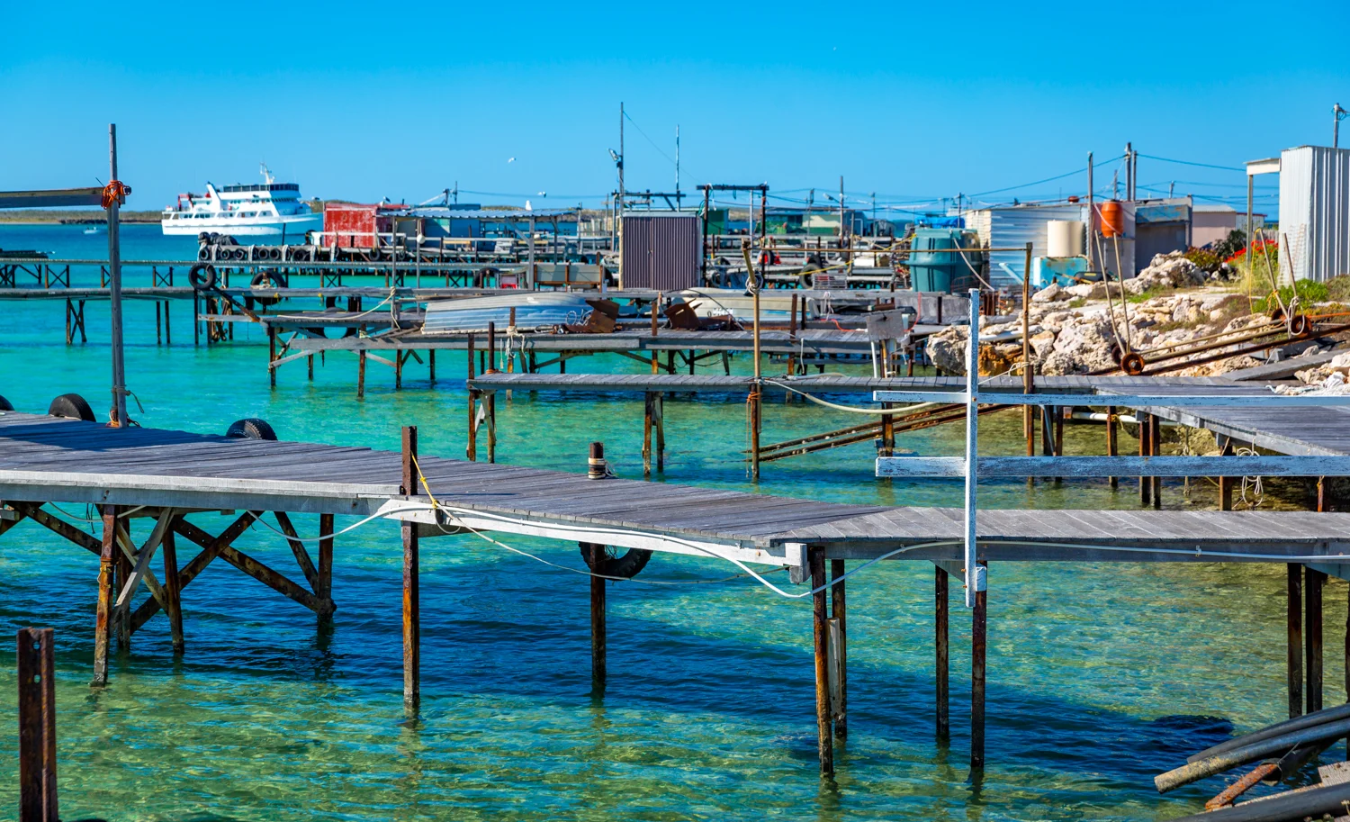 Eco Abrolhos-5284.jpg