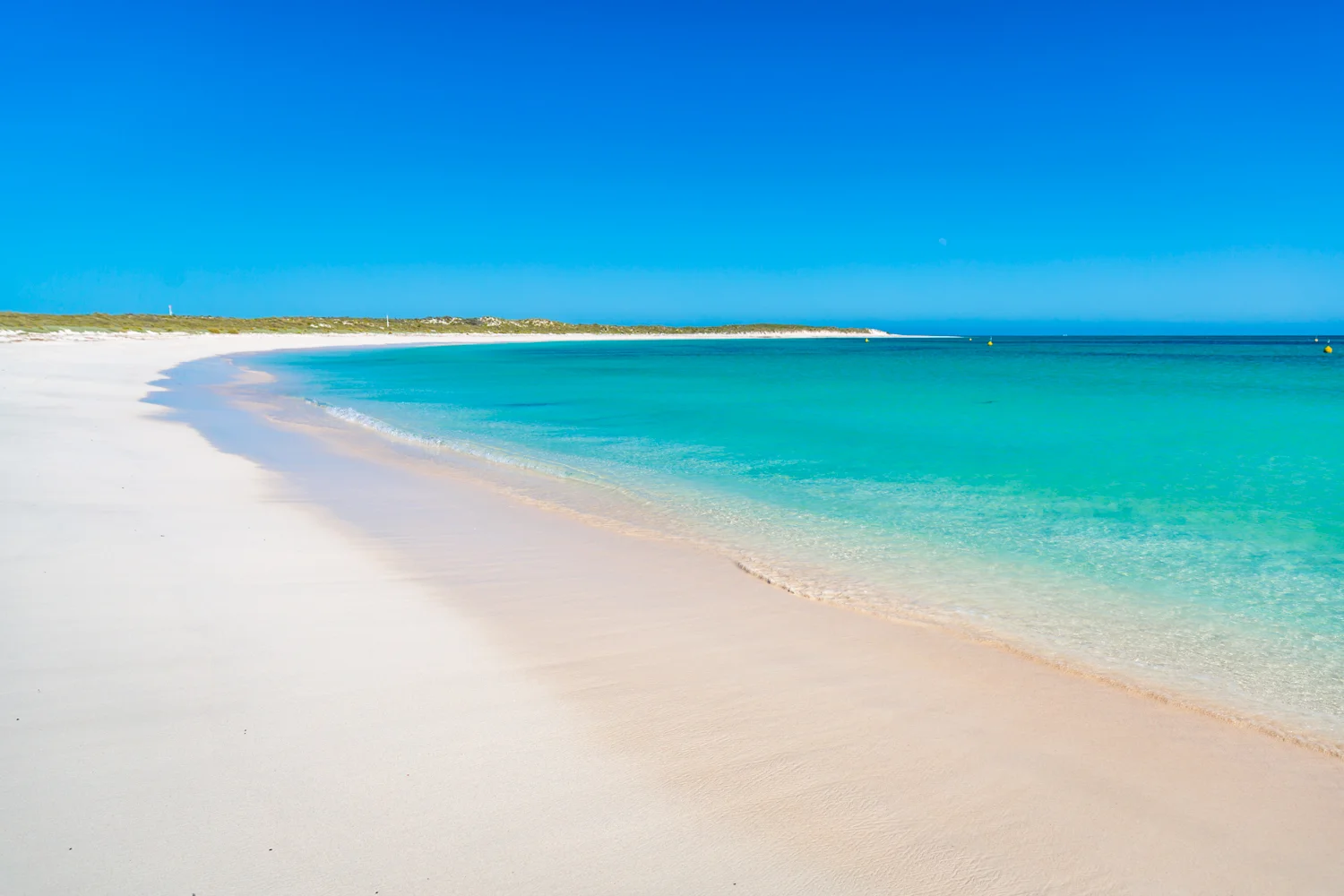 Eco Abrolhos-5466.jpg
