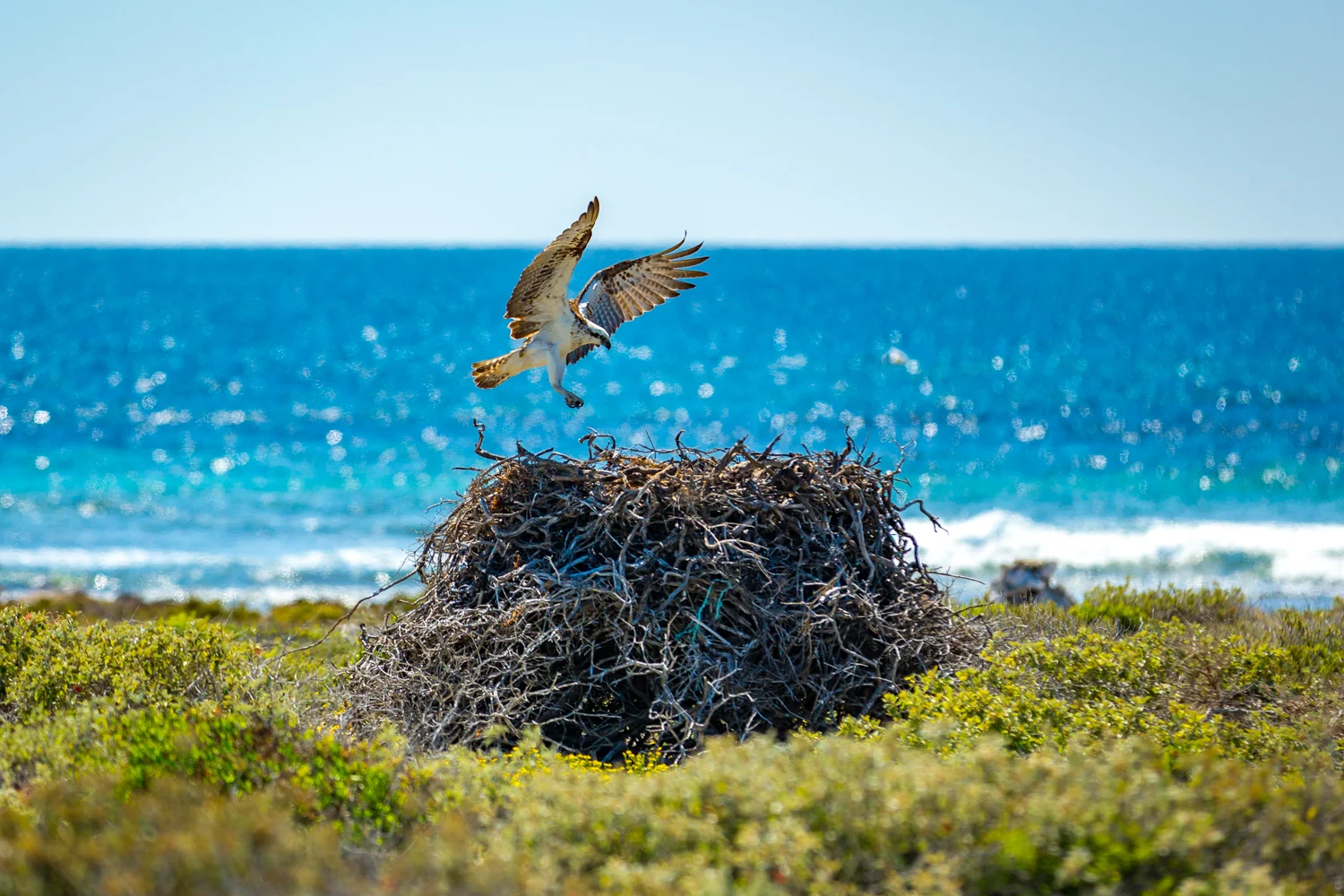 Eco Abrolhos-5760.jpg