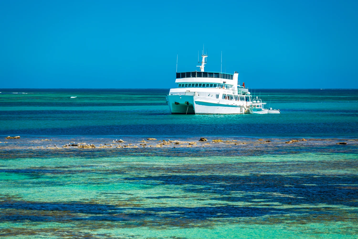 Eco Abrolhos-5742.jpg