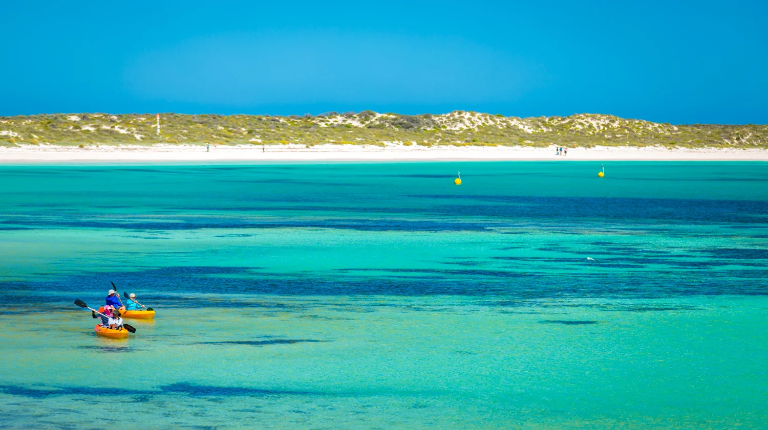 Eco Abrolhos-5740.jpg