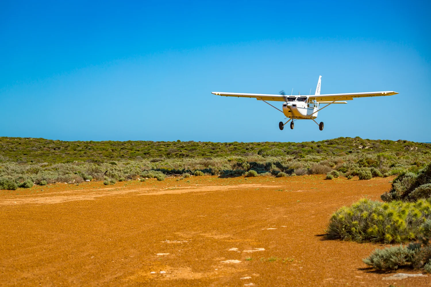 Eco Abrolhos-5728.jpg
