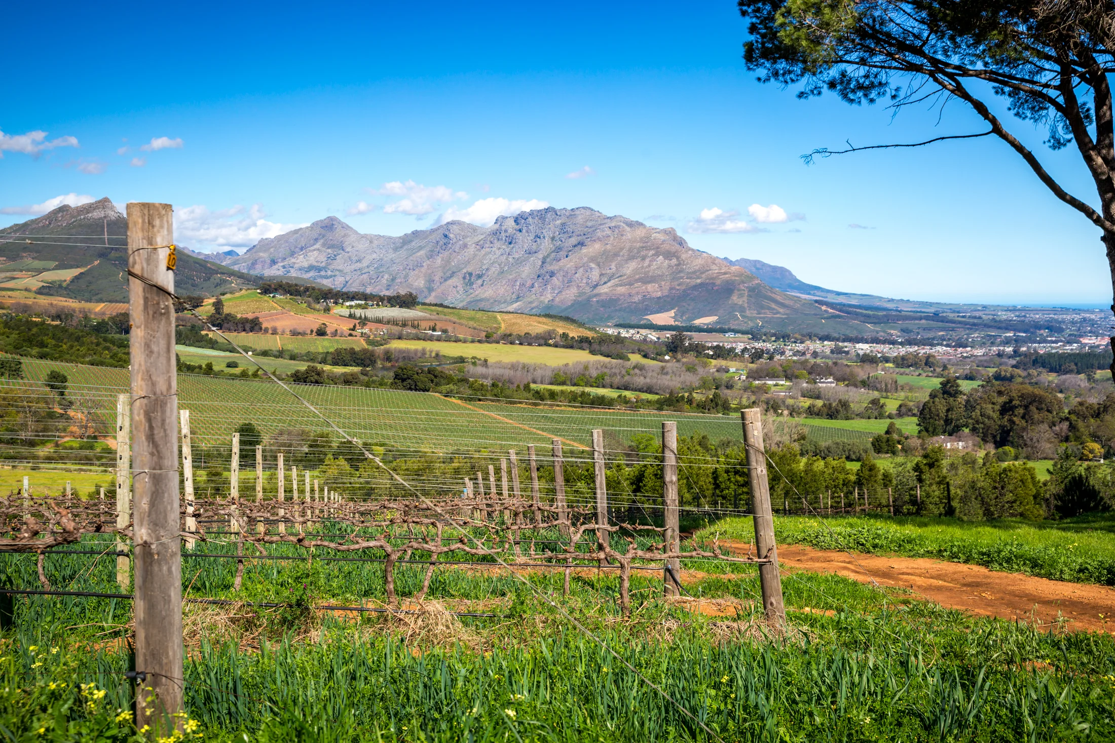South africa-2746.jpg