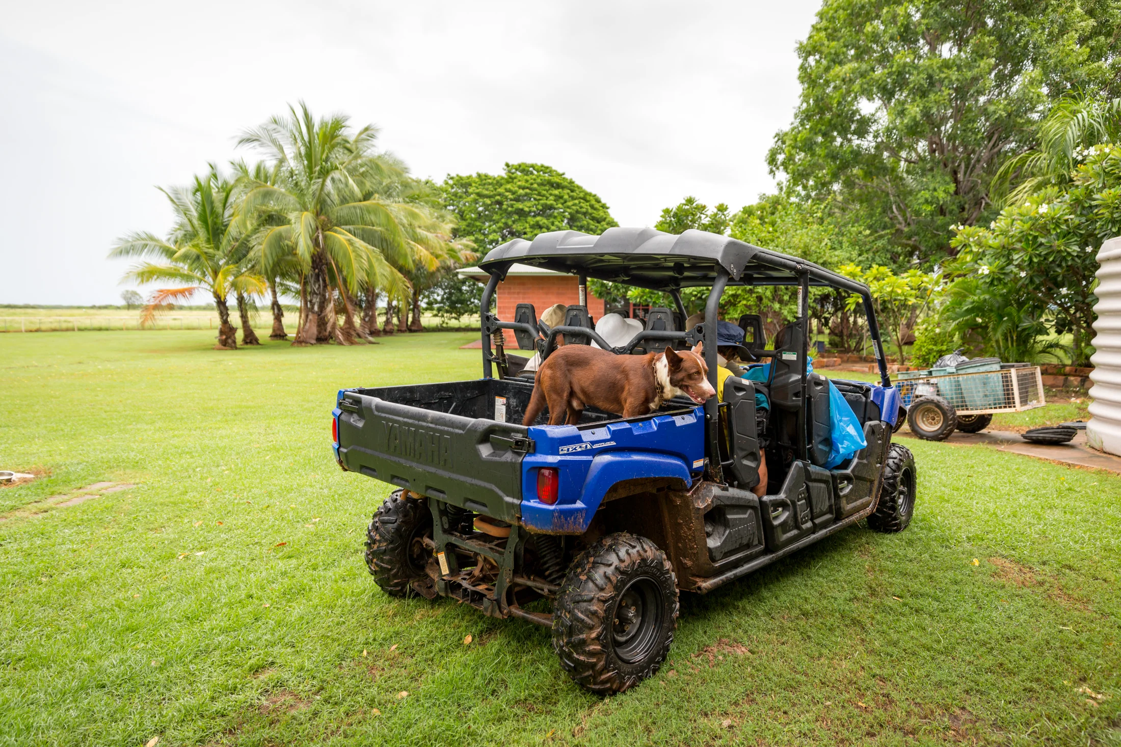 Bullo Rv-5842.jpg