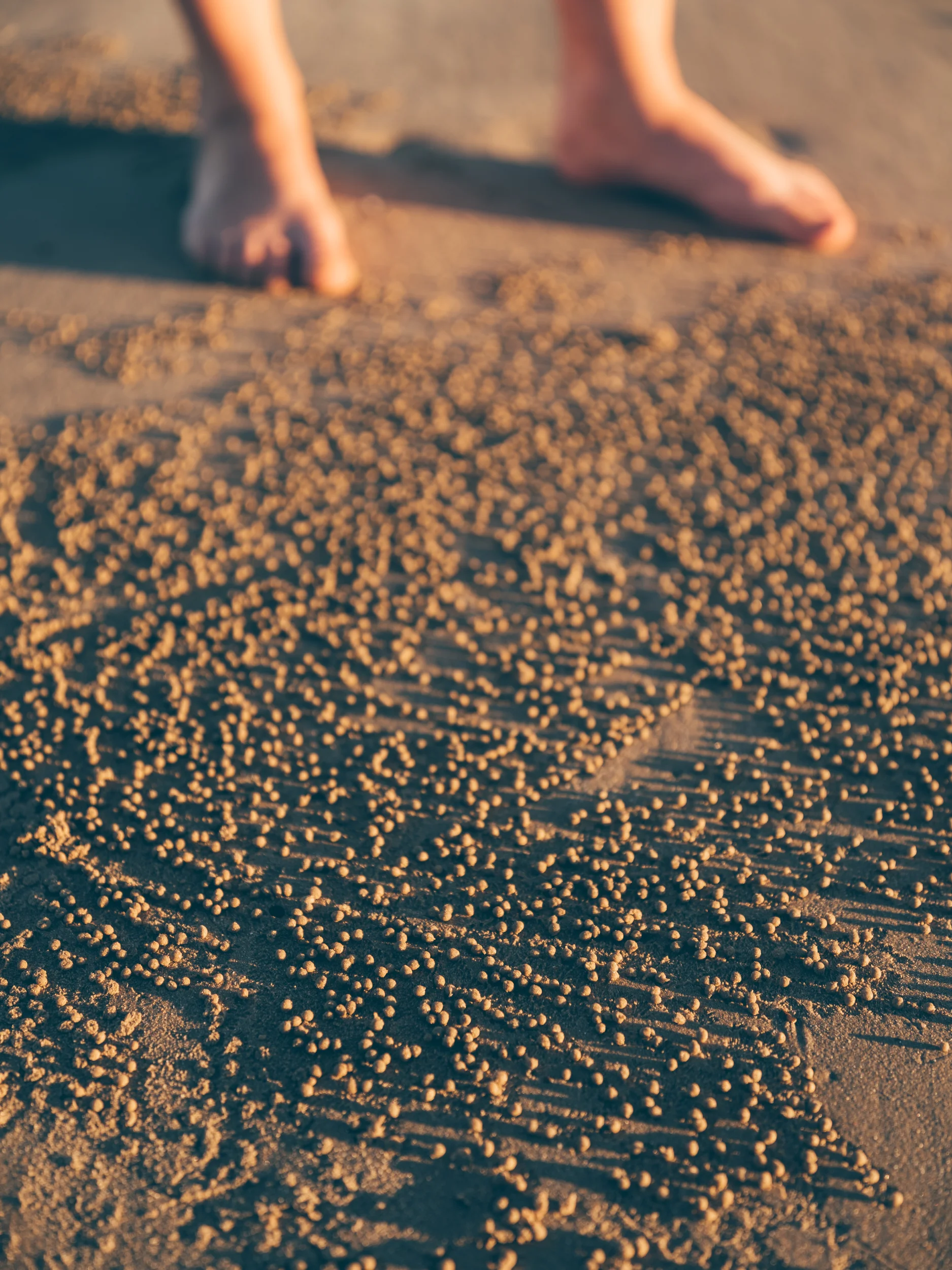 Broome-7626.jpg