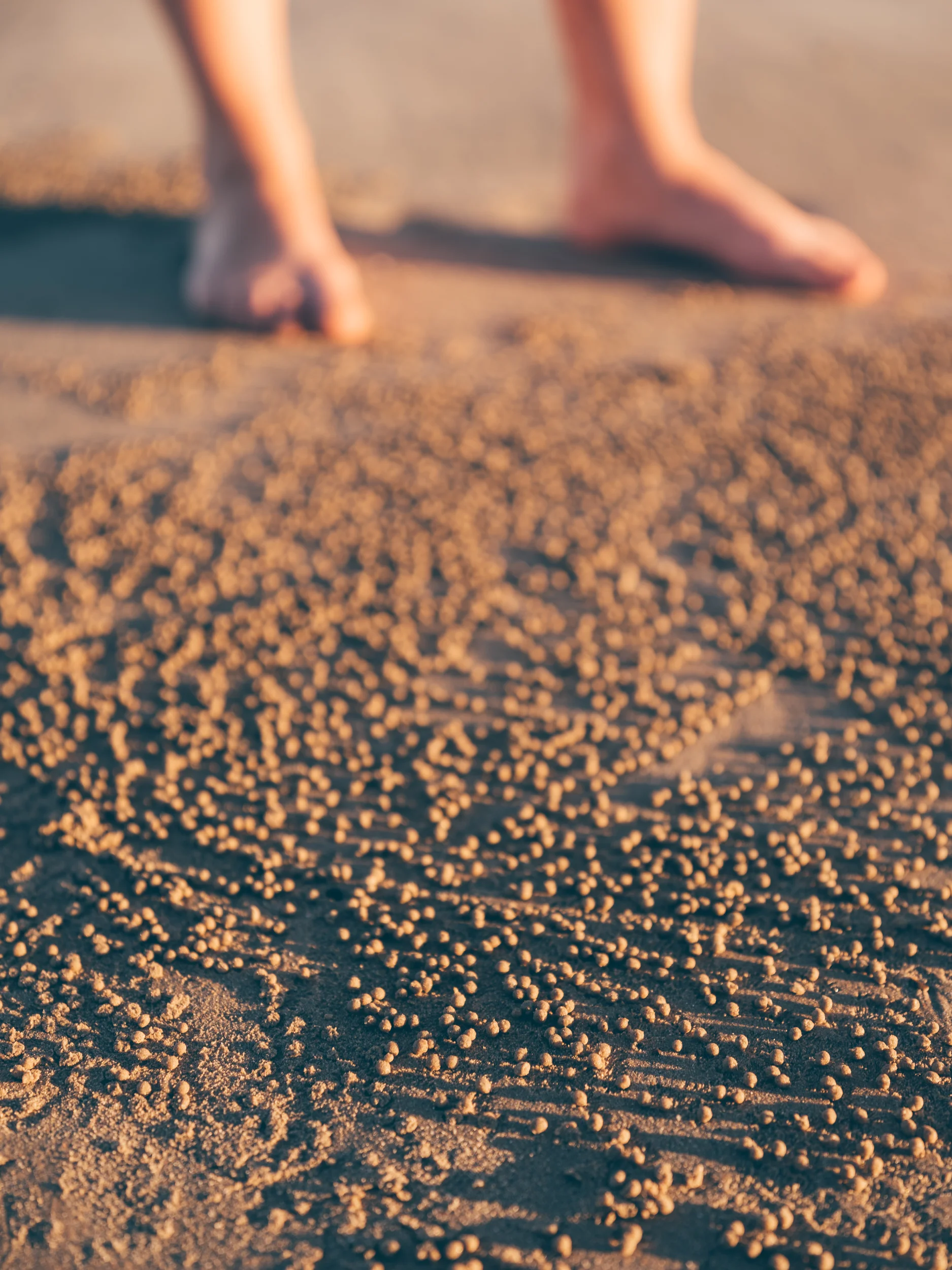 Broome-7625.jpg