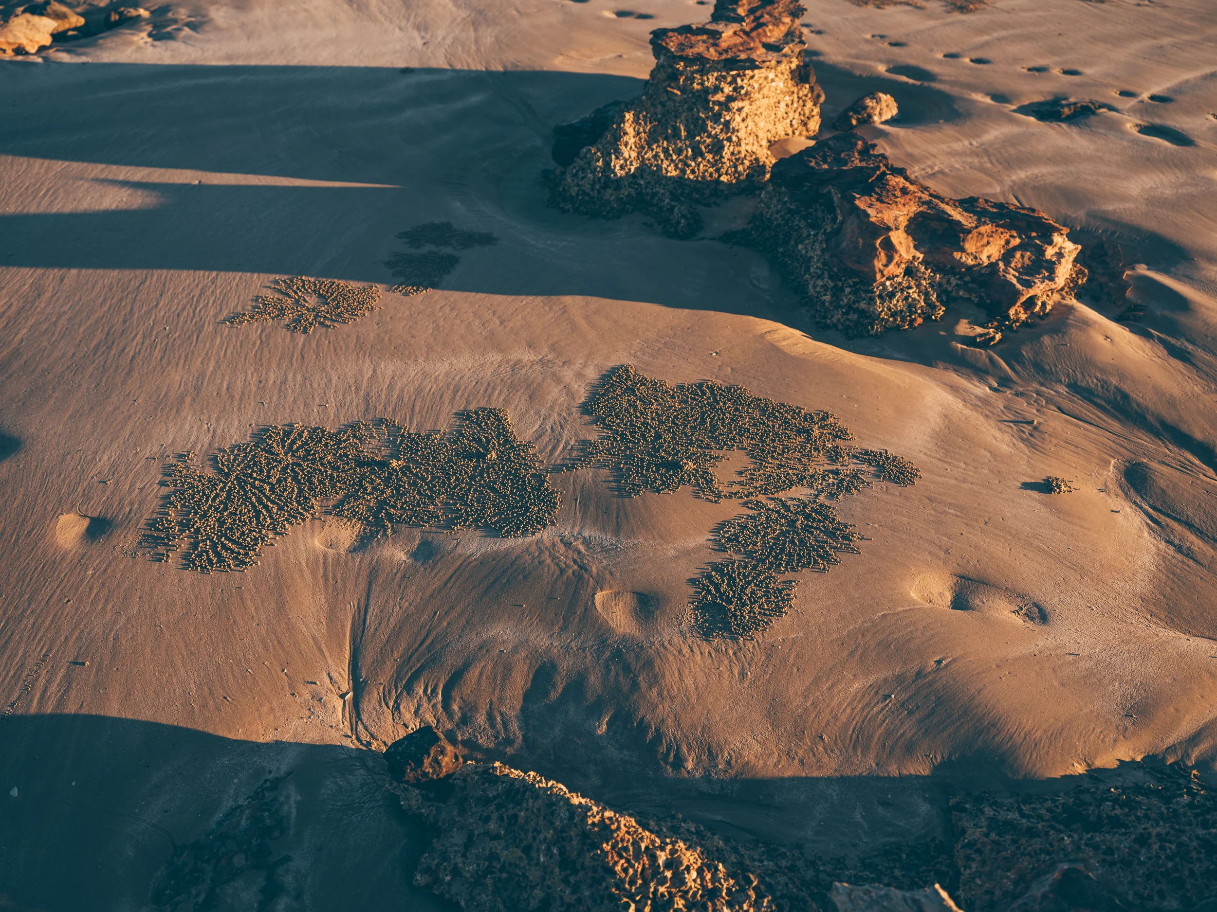 Broome-7630.jpg