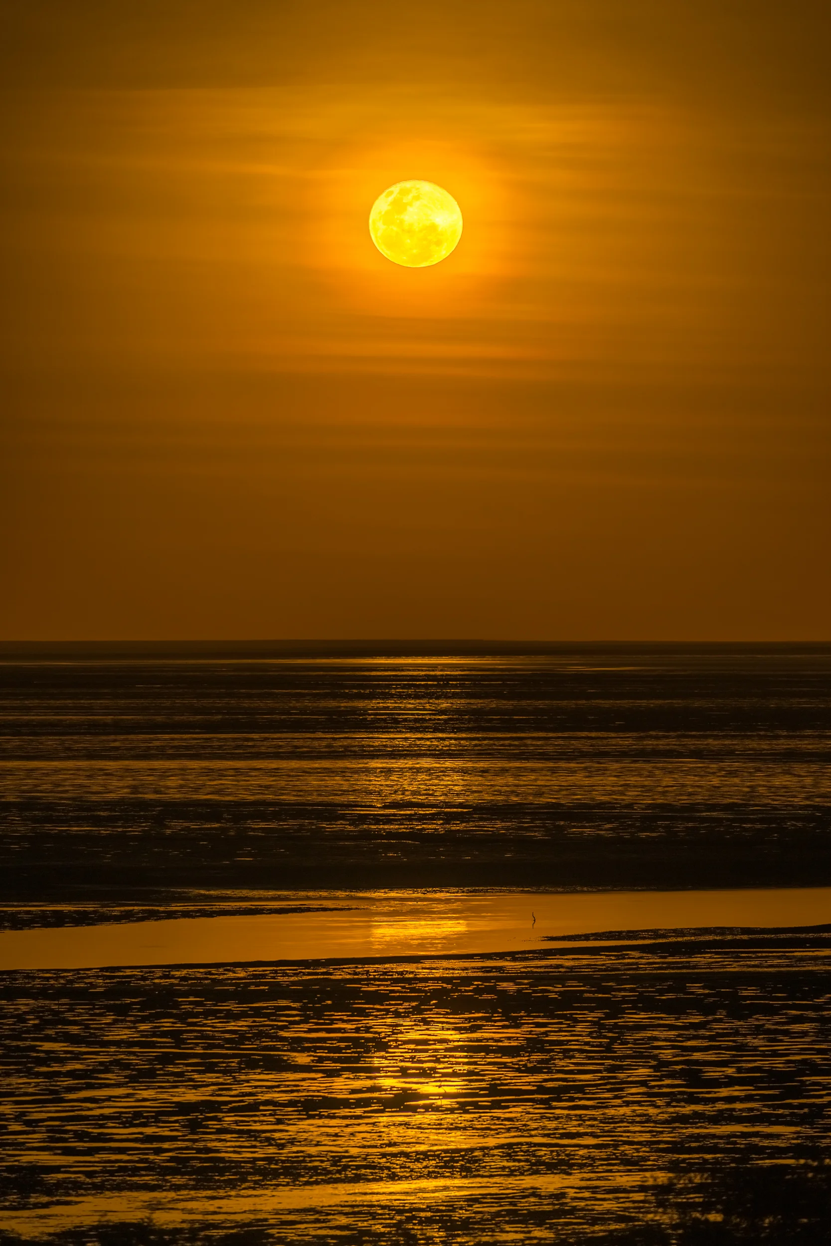 Broome--10.jpg