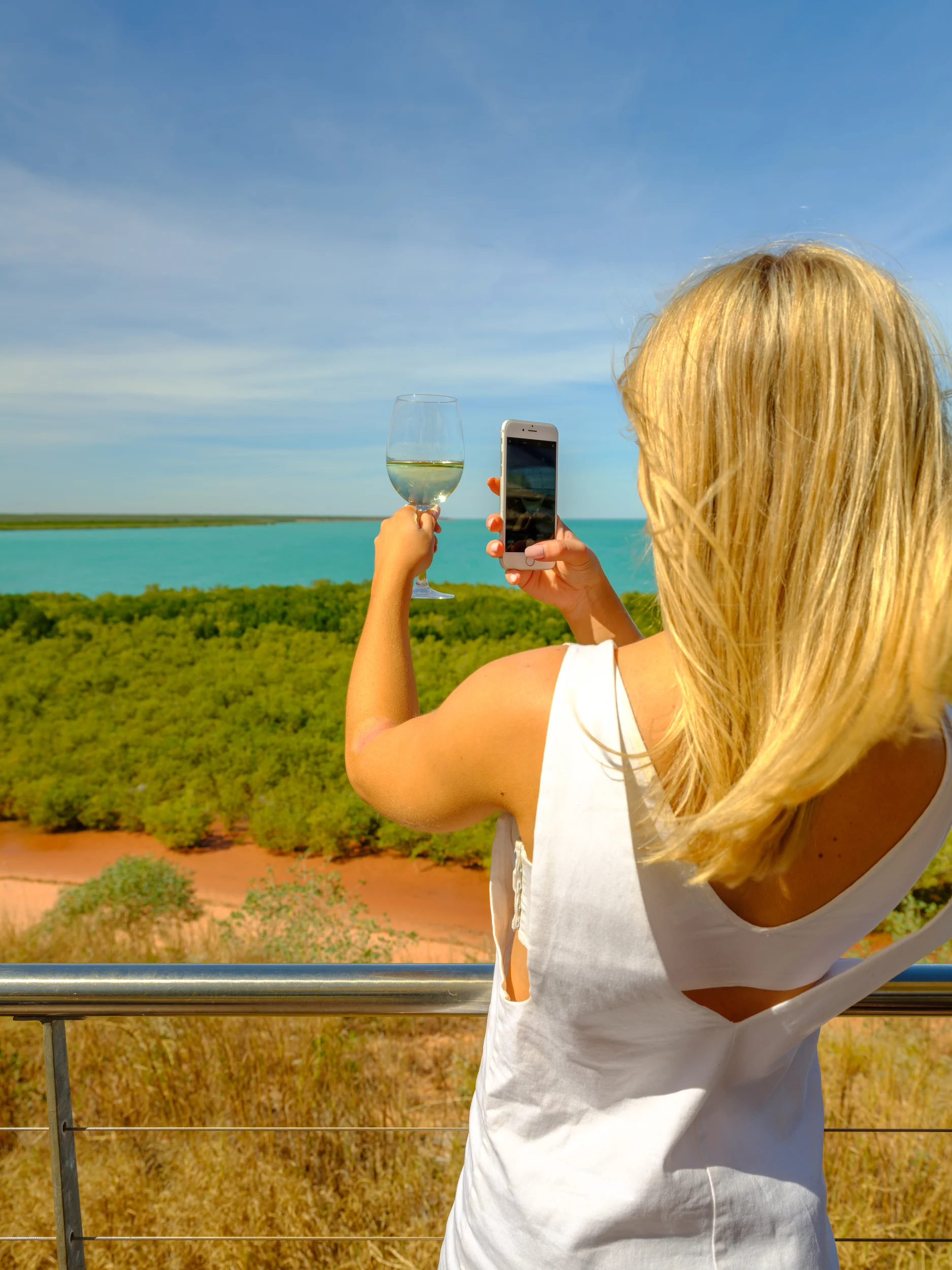Broome_DSF8100.jpg