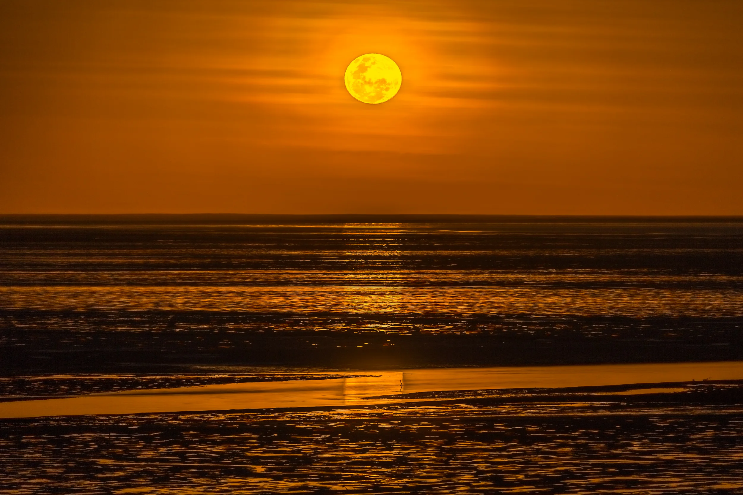 Broome565A1102-HDR.jpg