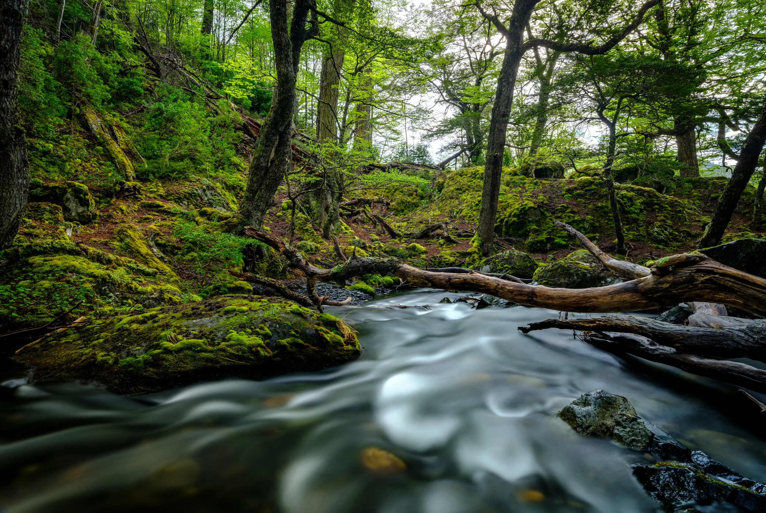 _DSF5706-HDR.jpg
