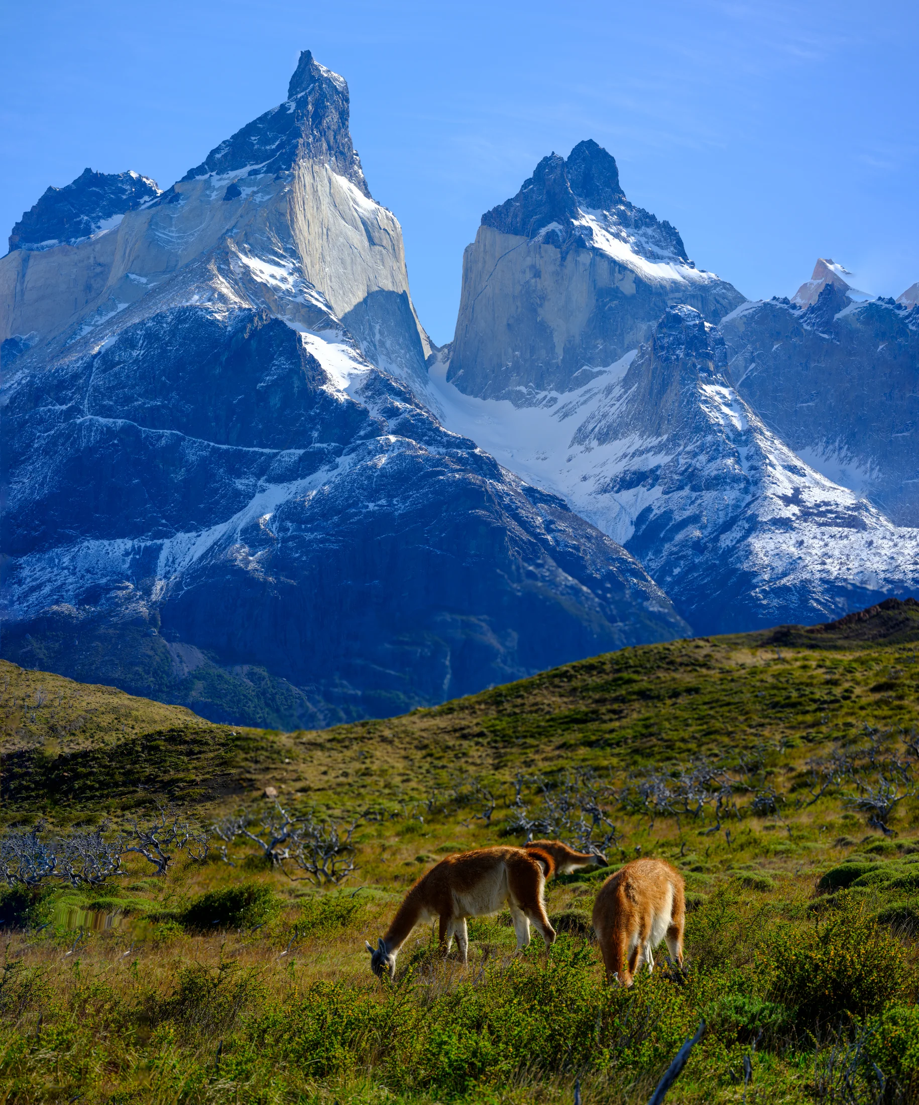 _DSF6069-Pano-Edit.jpg