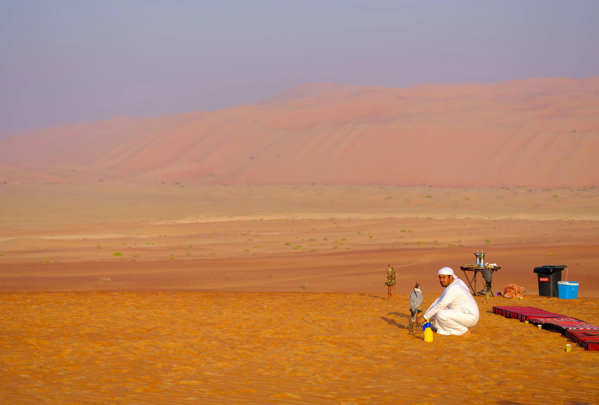 _DSF7319.jpg