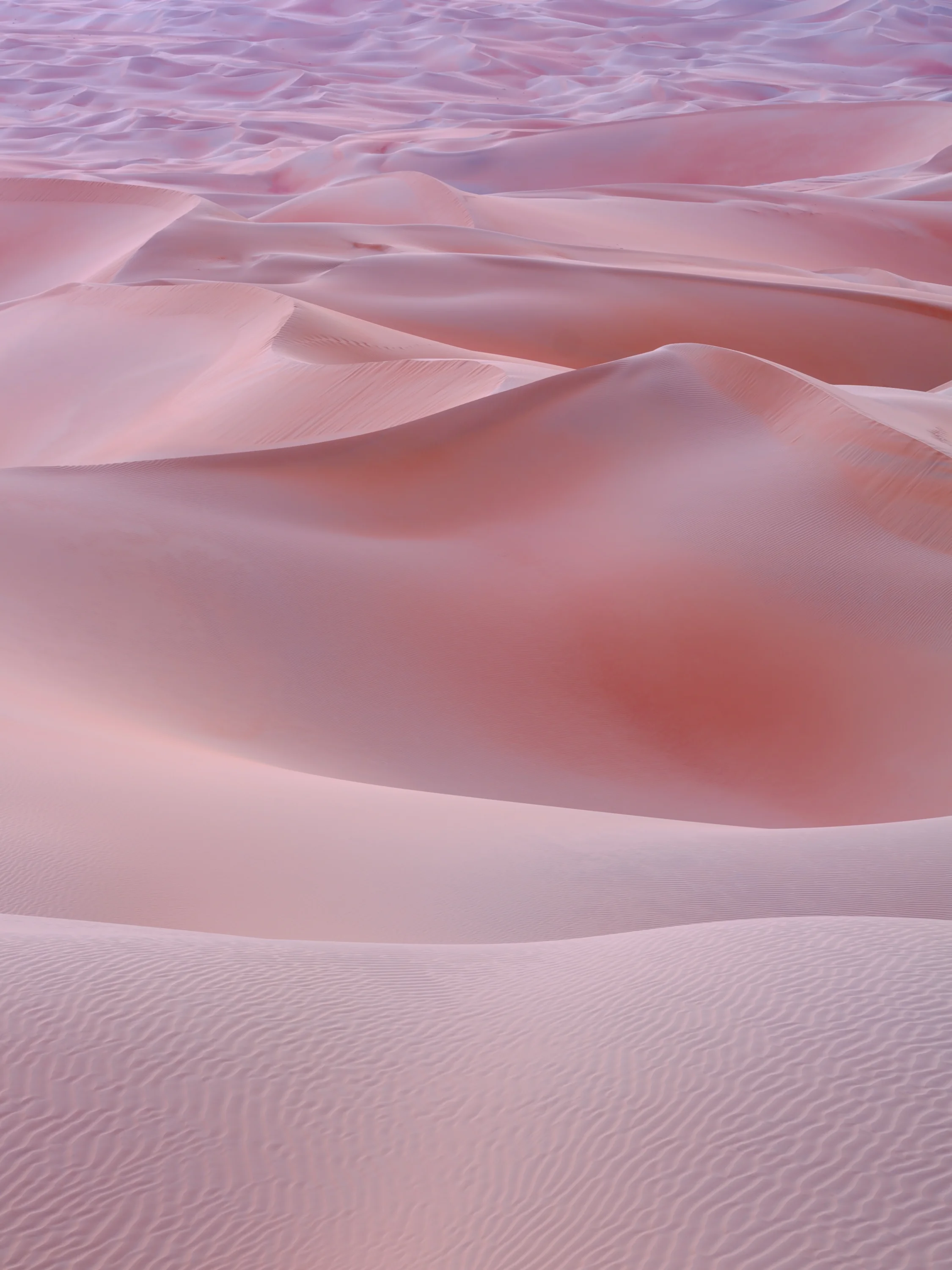 _DSF7479-Edit.jpg