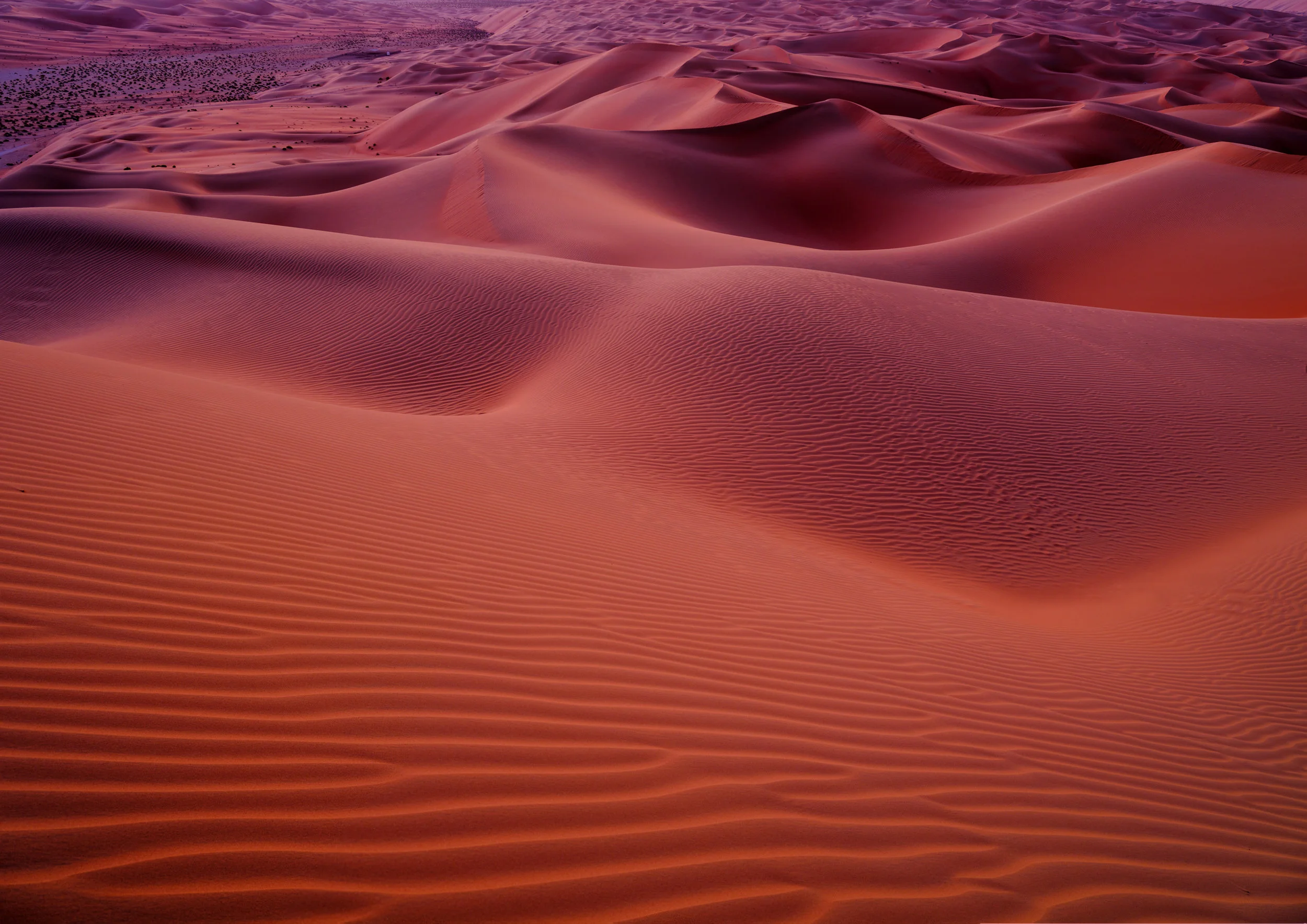 _DSF7503-Edit-2-3.jpg