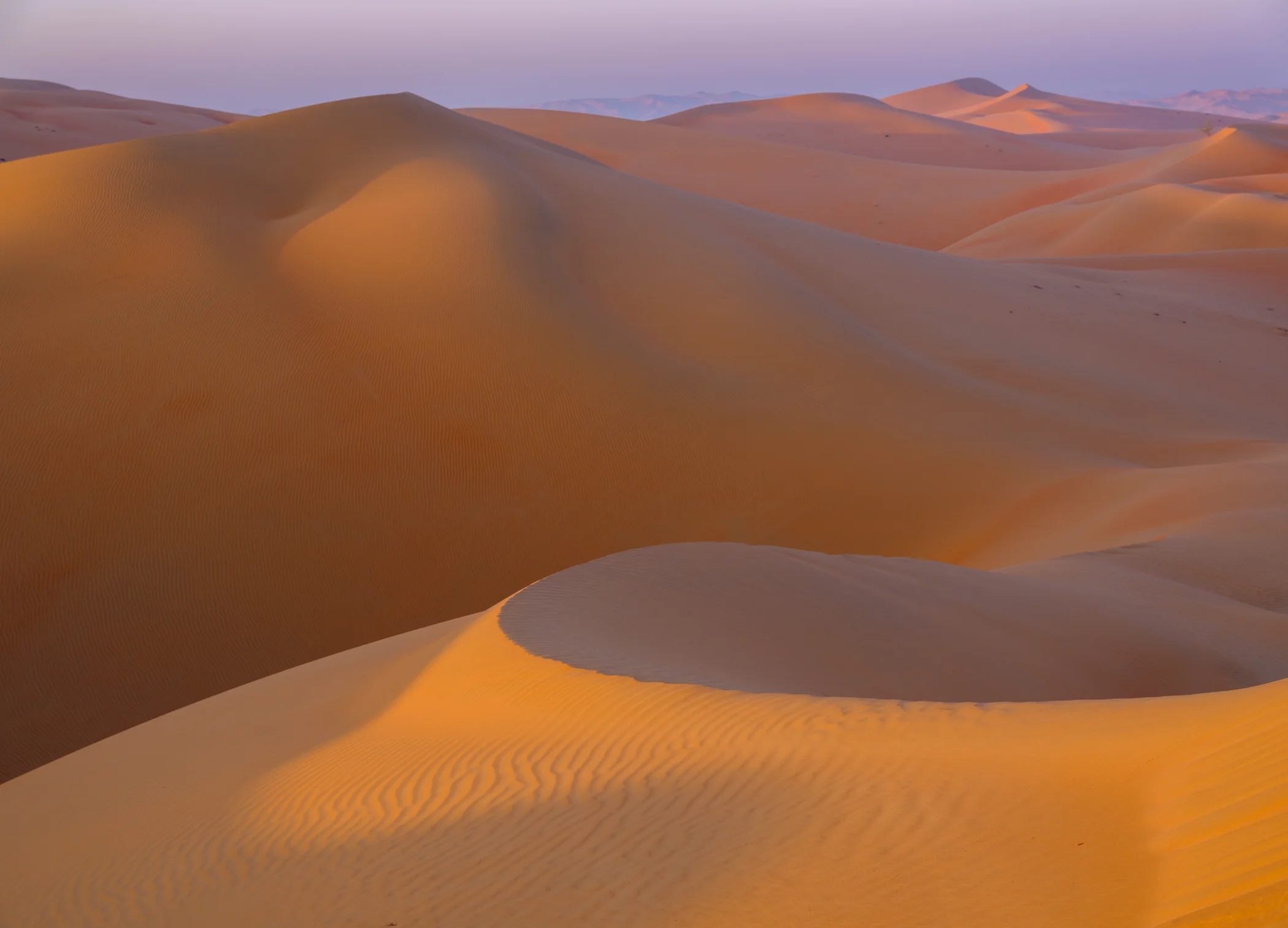 _DSF7589.jpg