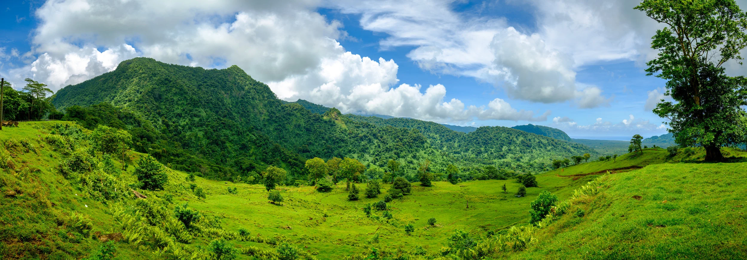 _DSF8669-Pano.jpg