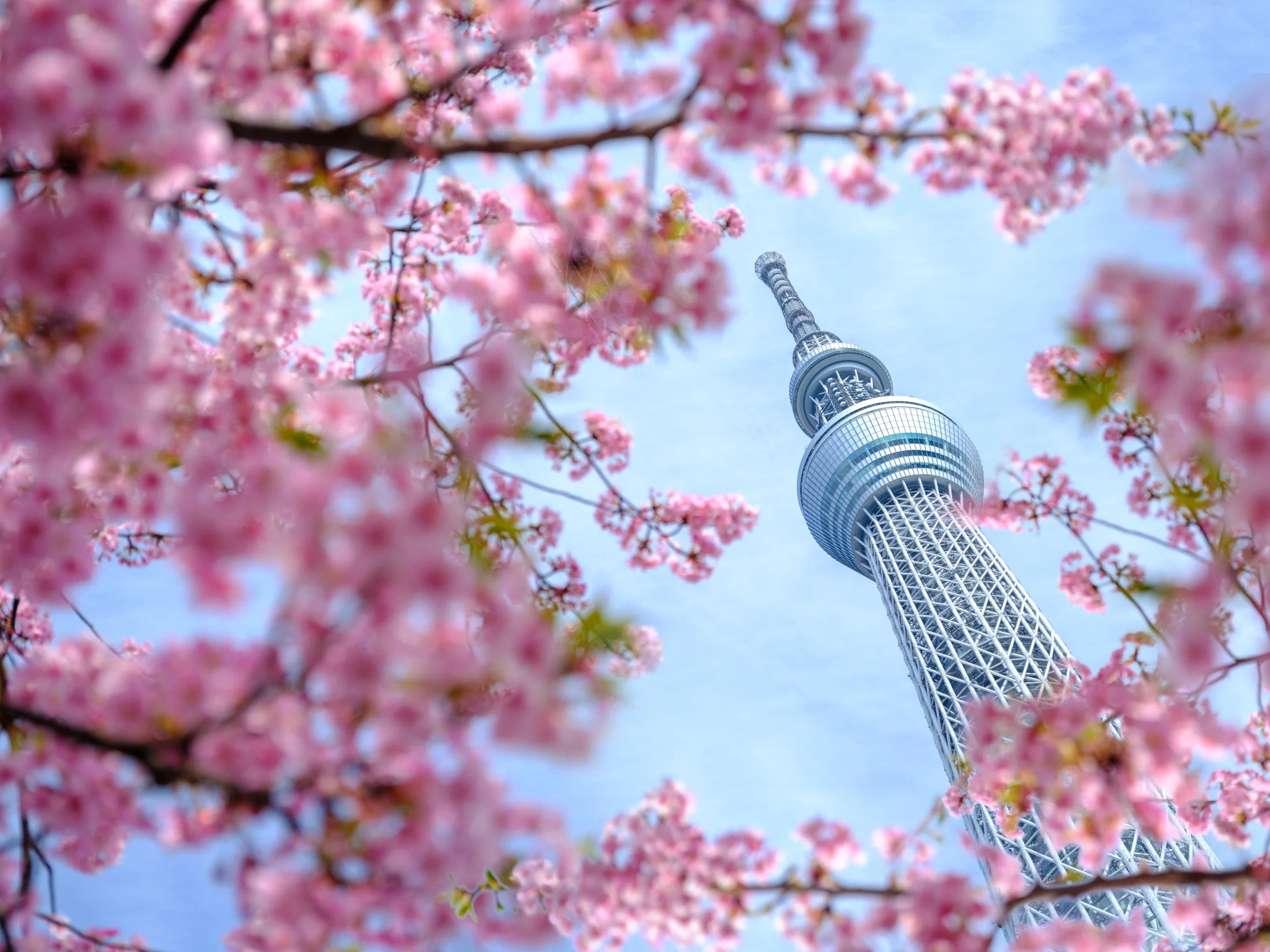 _DSF5228-Edit.jpg