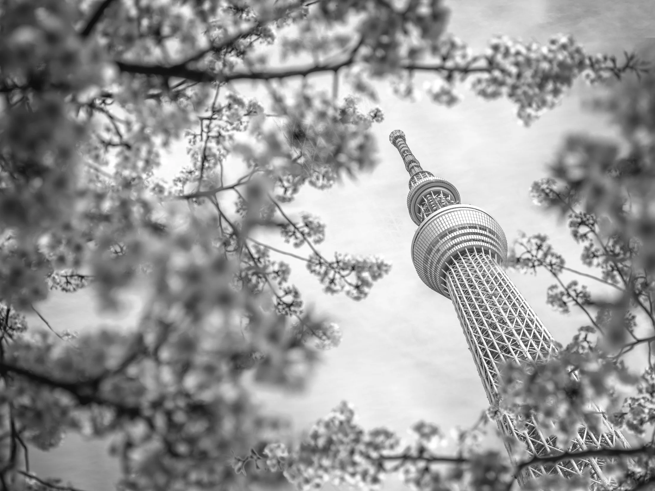 _DSF5228-Edit-2.jpg