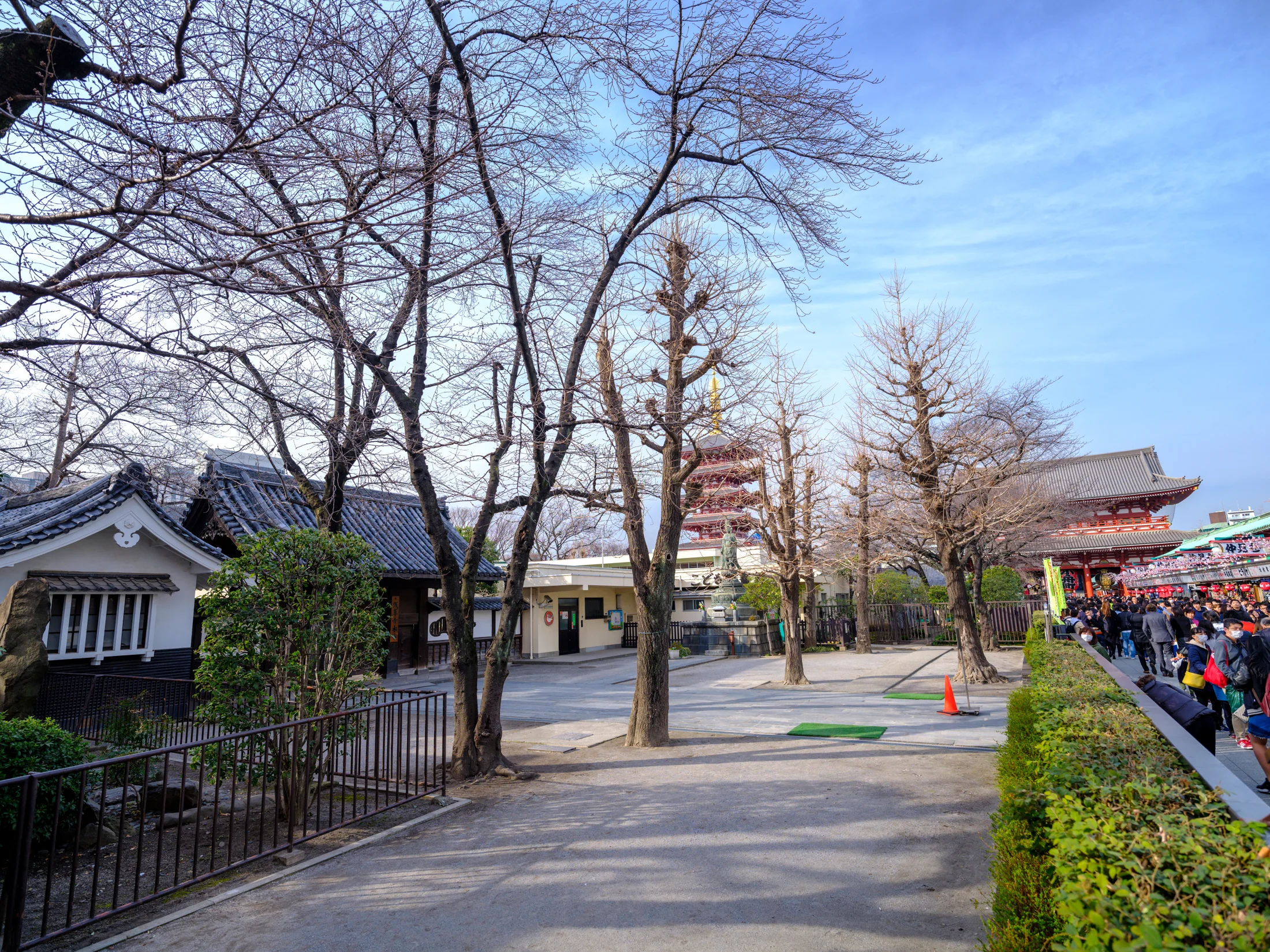 _DSF5277.jpg