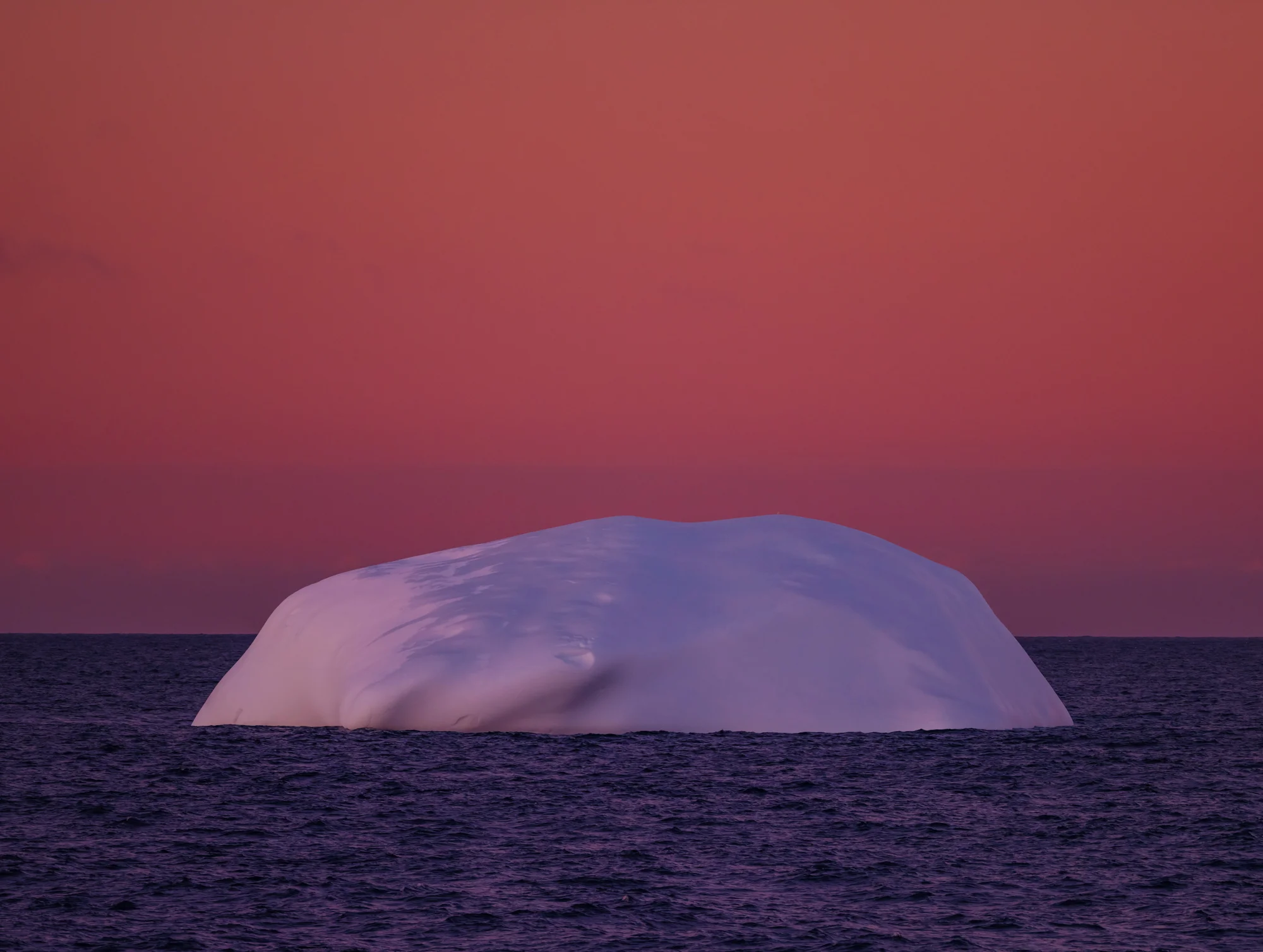 _DSF0125.jpg