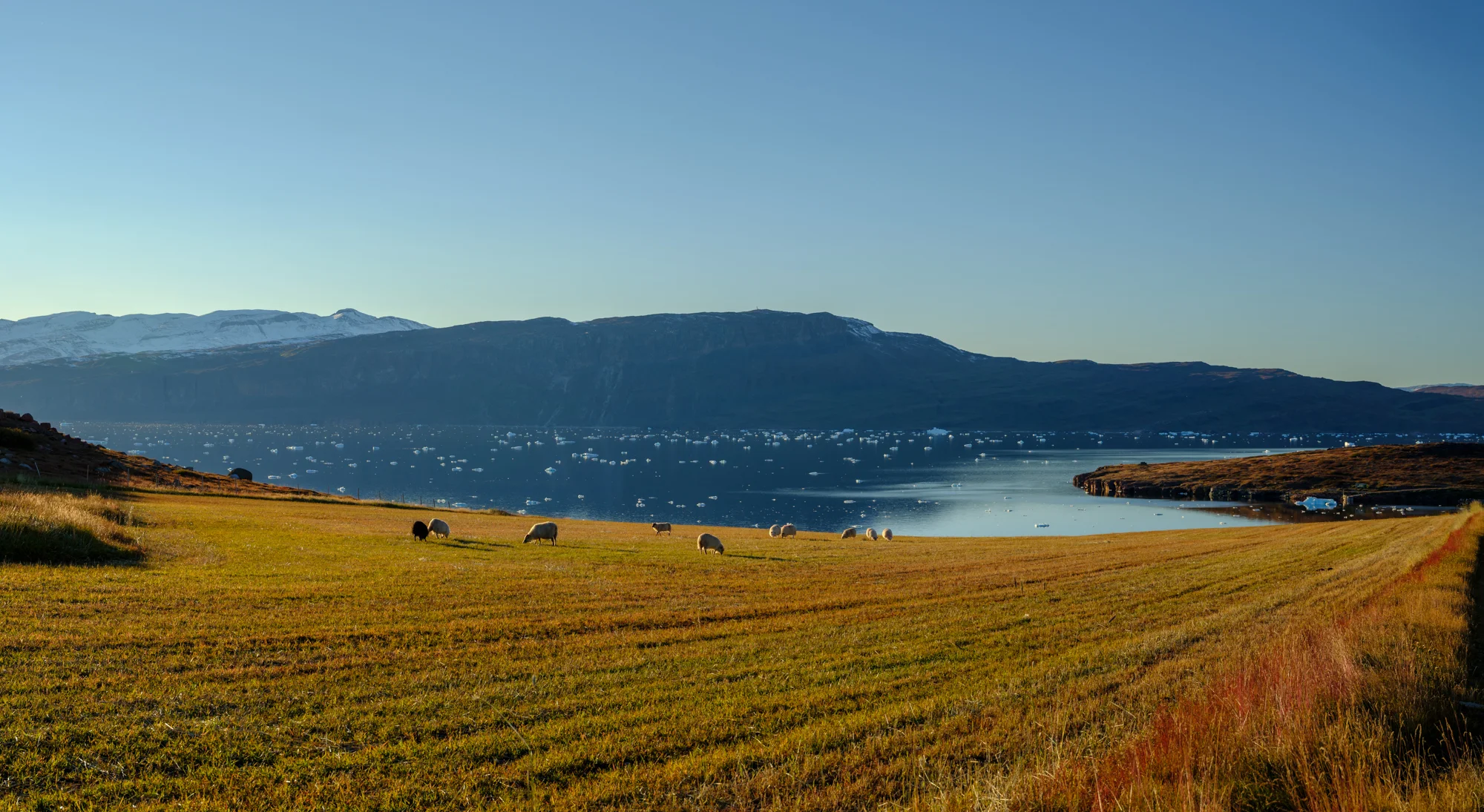 _DSF0742-Pano.jpg