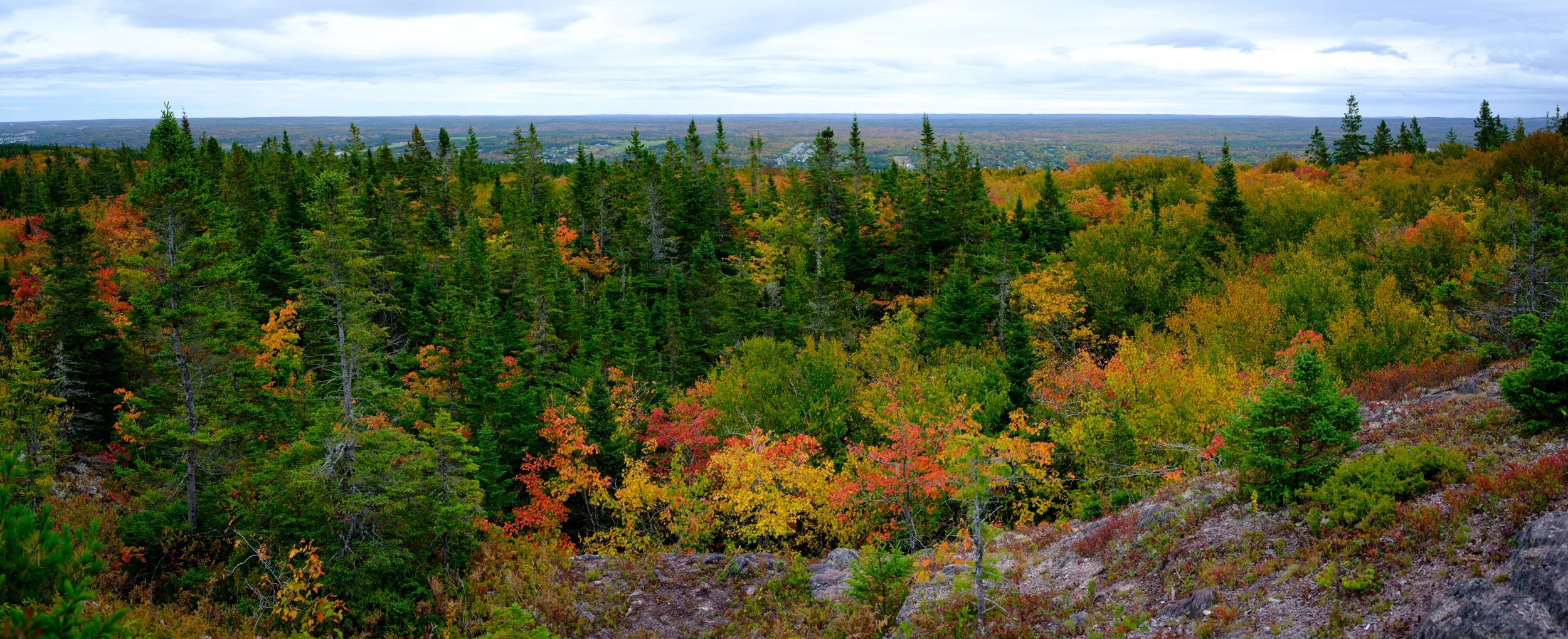 _DSF4435-Pano.jpg