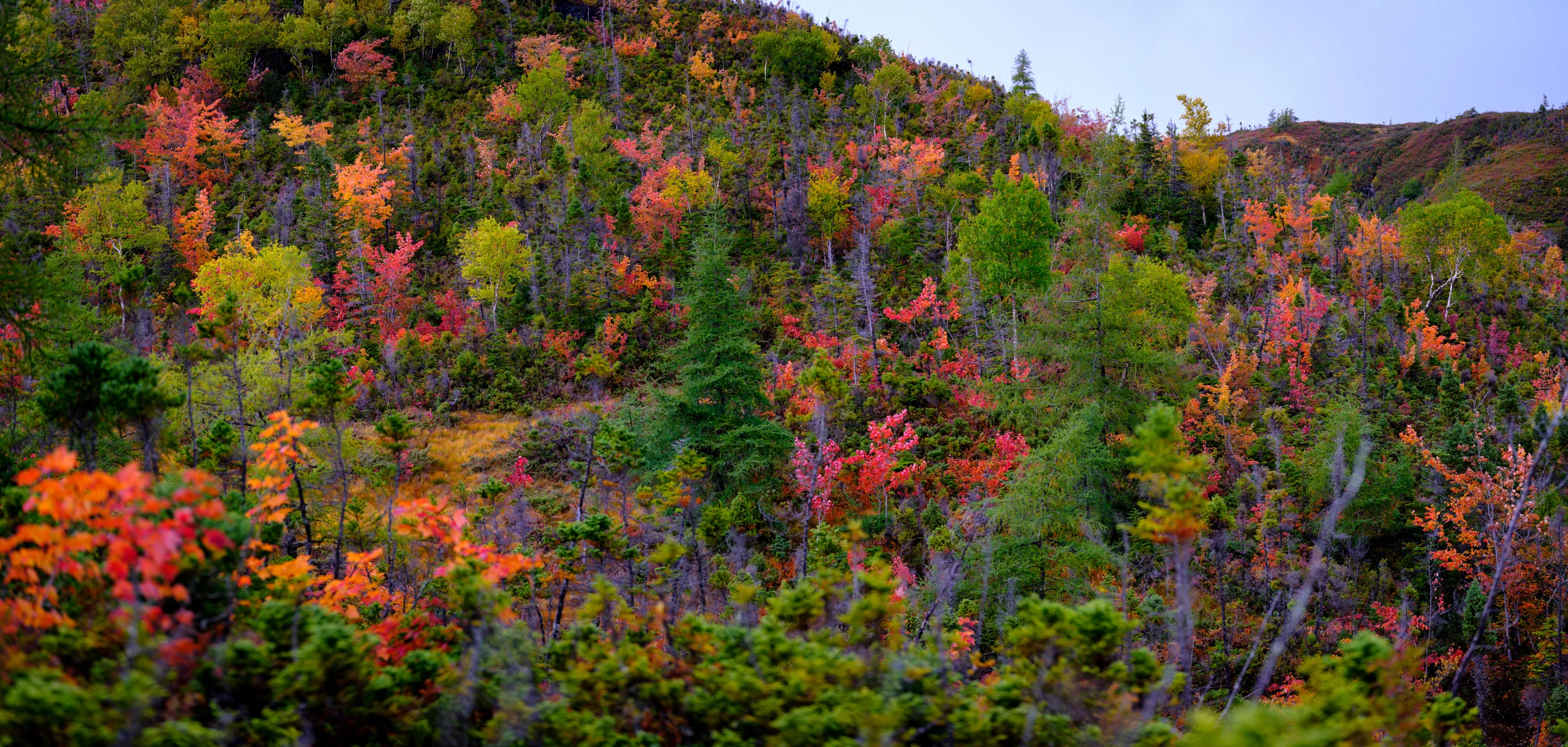 _DSF3017-Pano.jpg