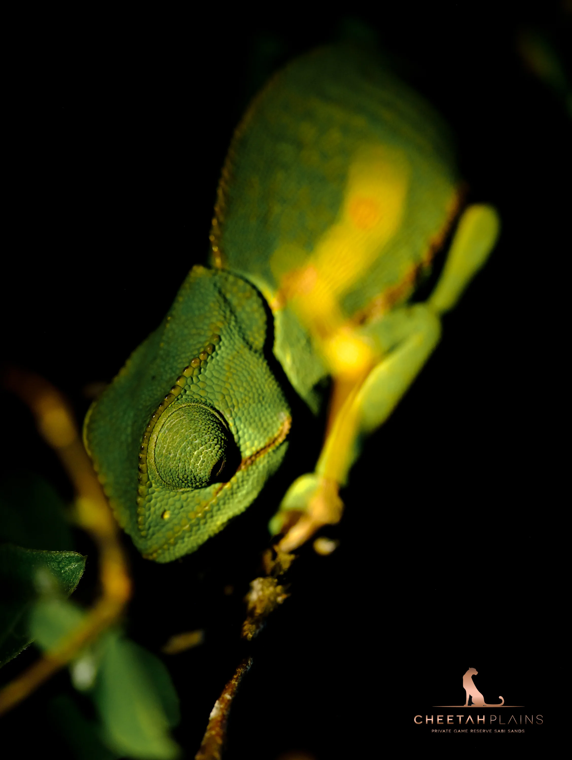 _DSF7220-Edit.jpg