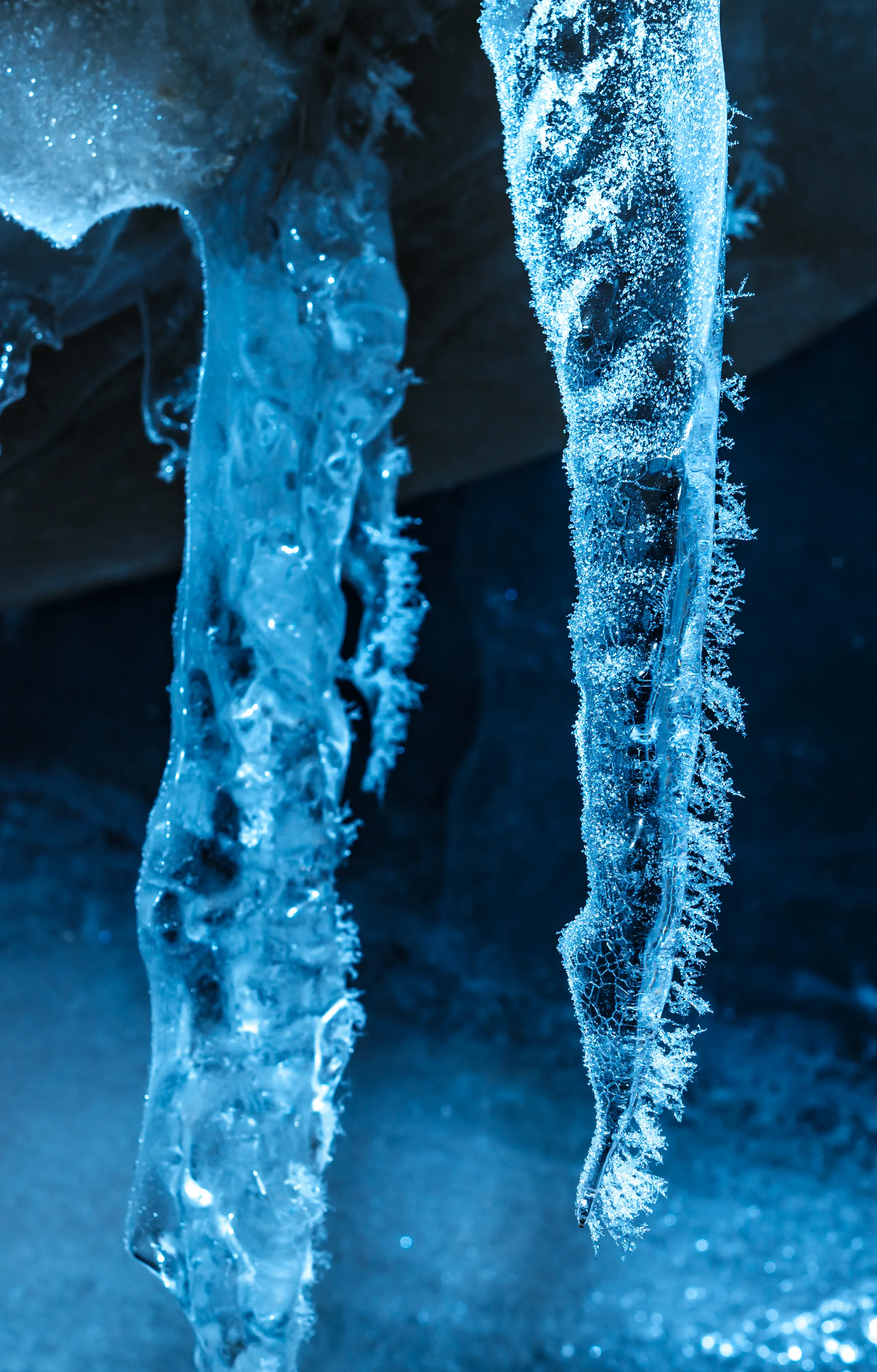 _DSF2354-4.jpg