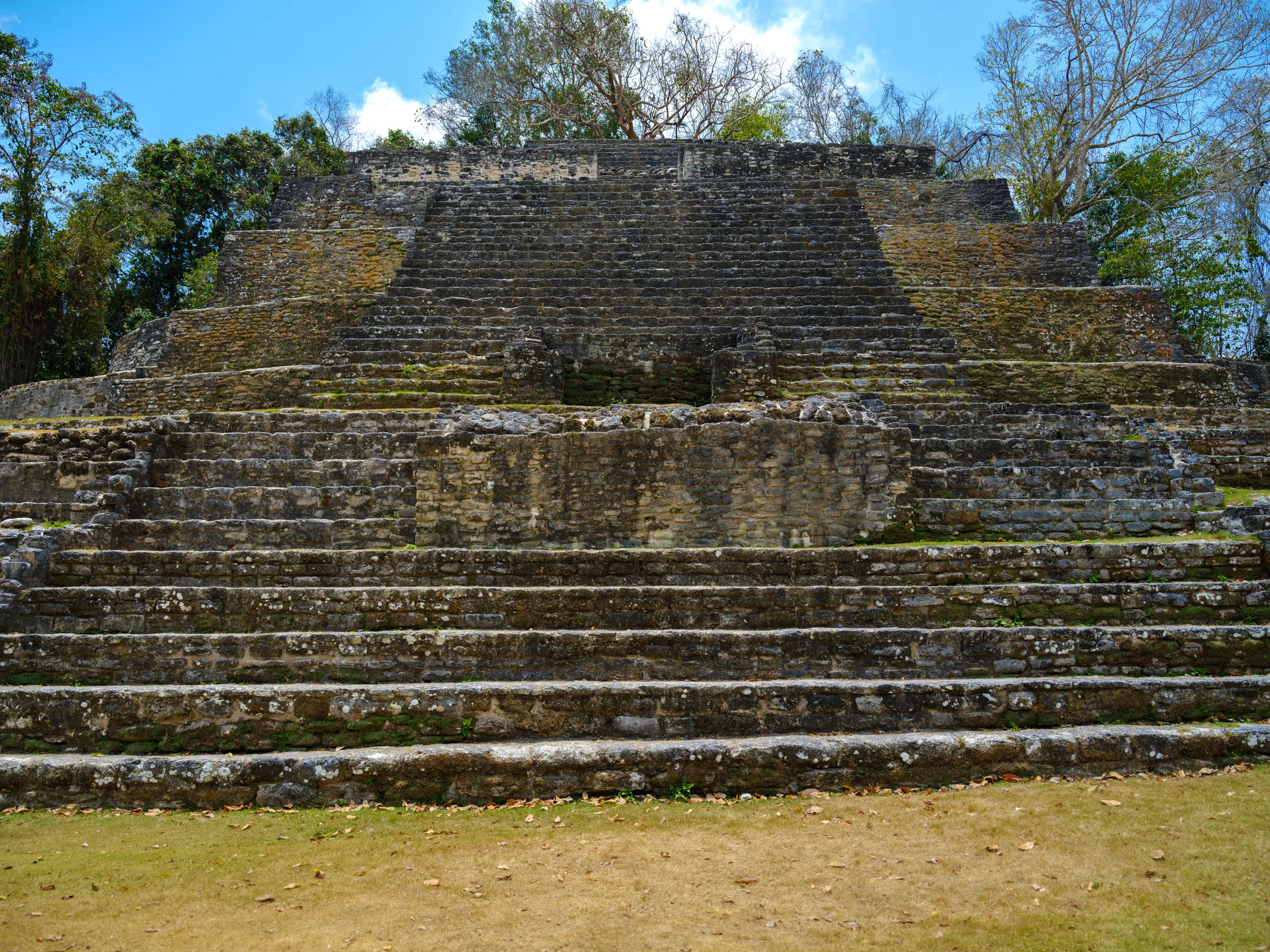 _DSF6421.jpg