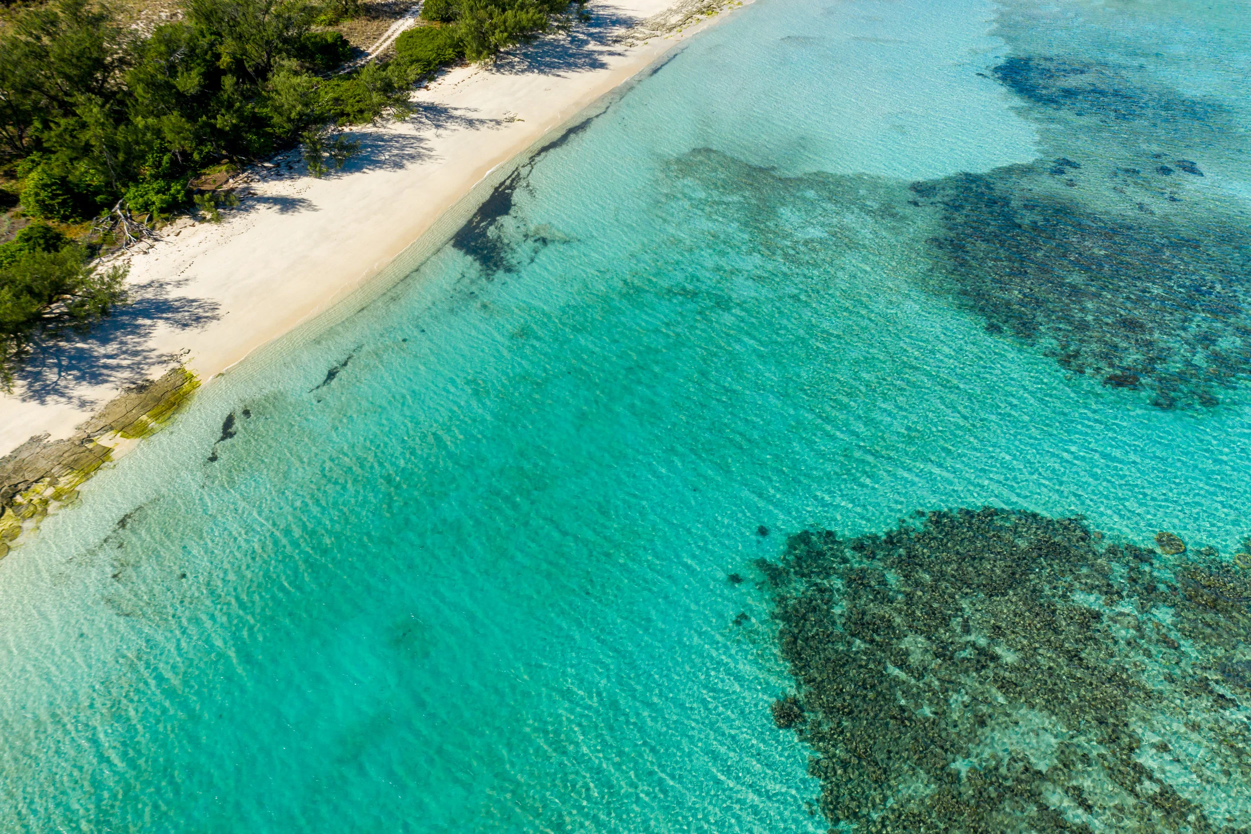DJI_0118.jpg