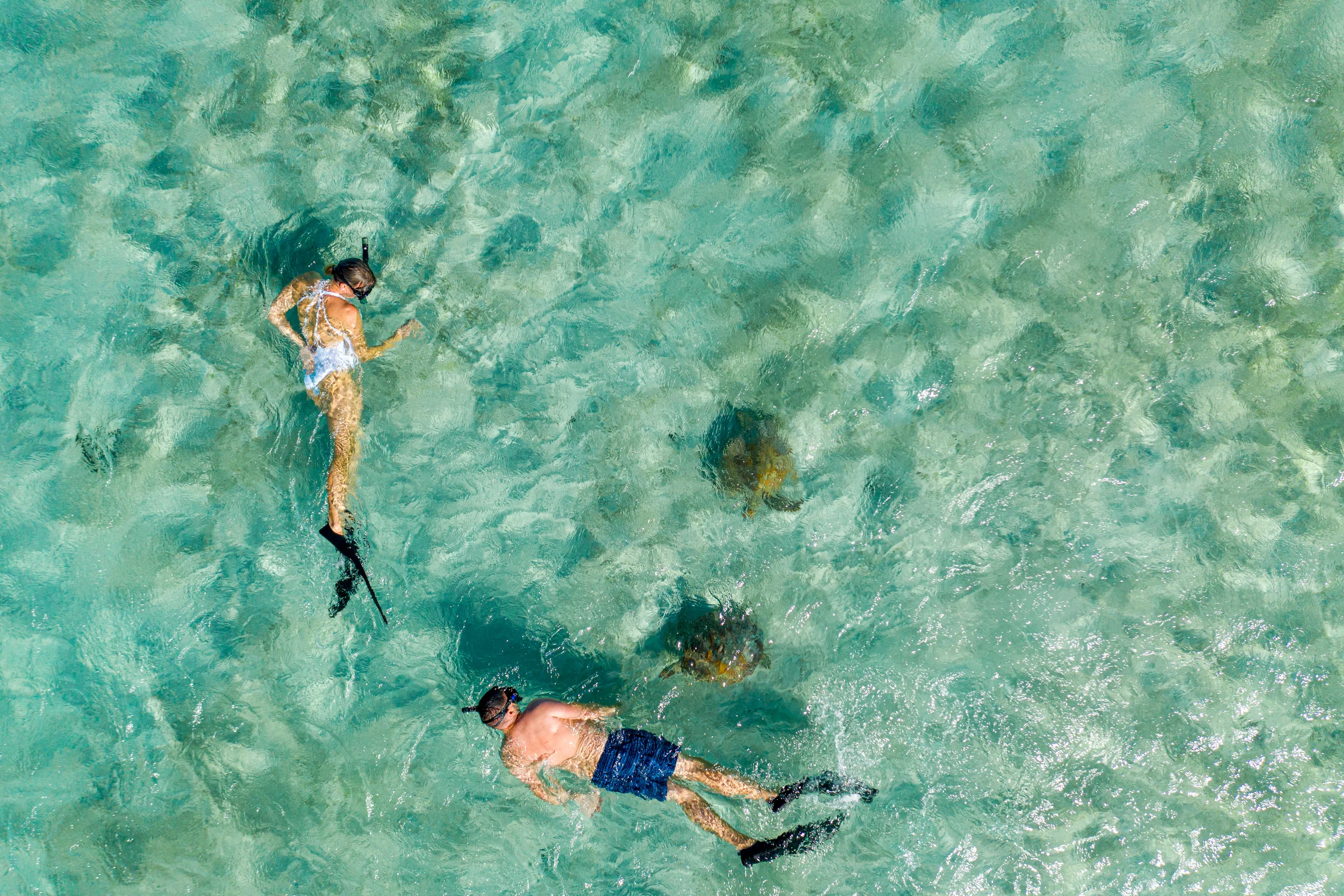 DJI_0136.jpg