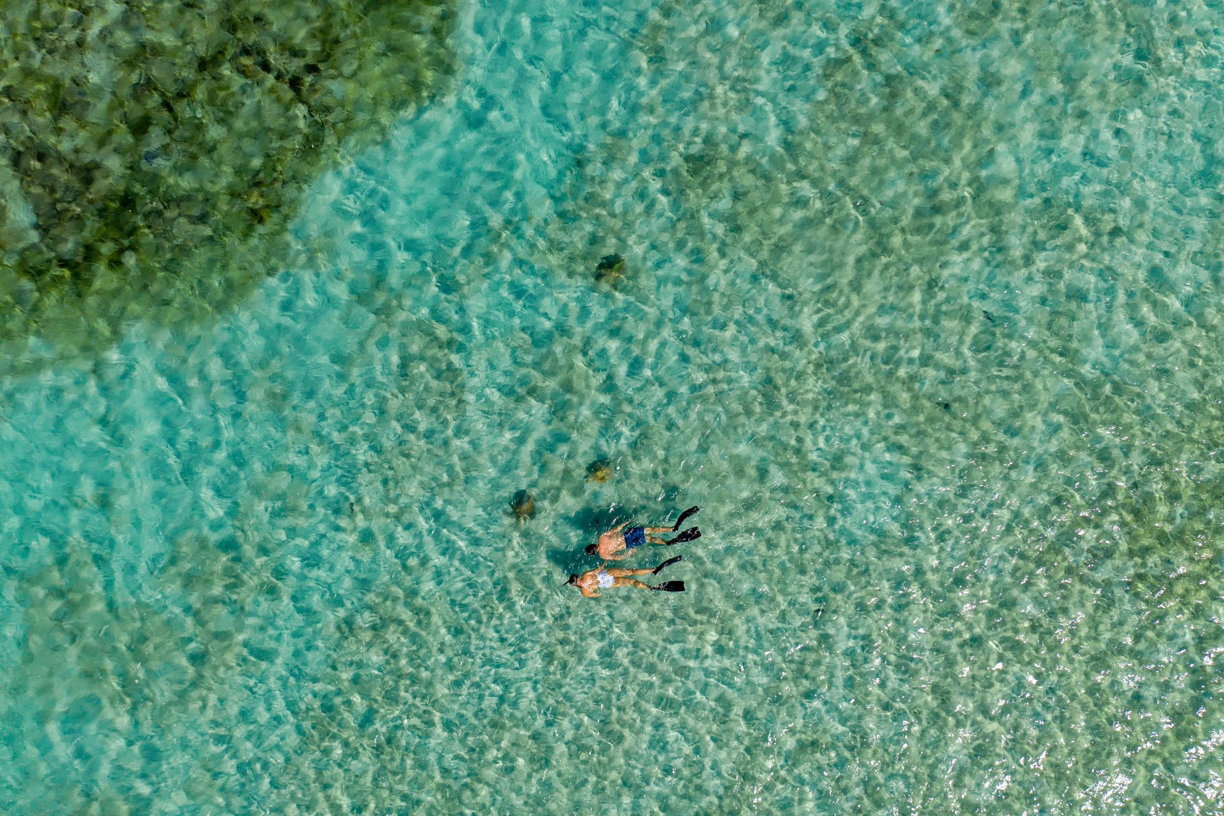 DJI_0133.jpg