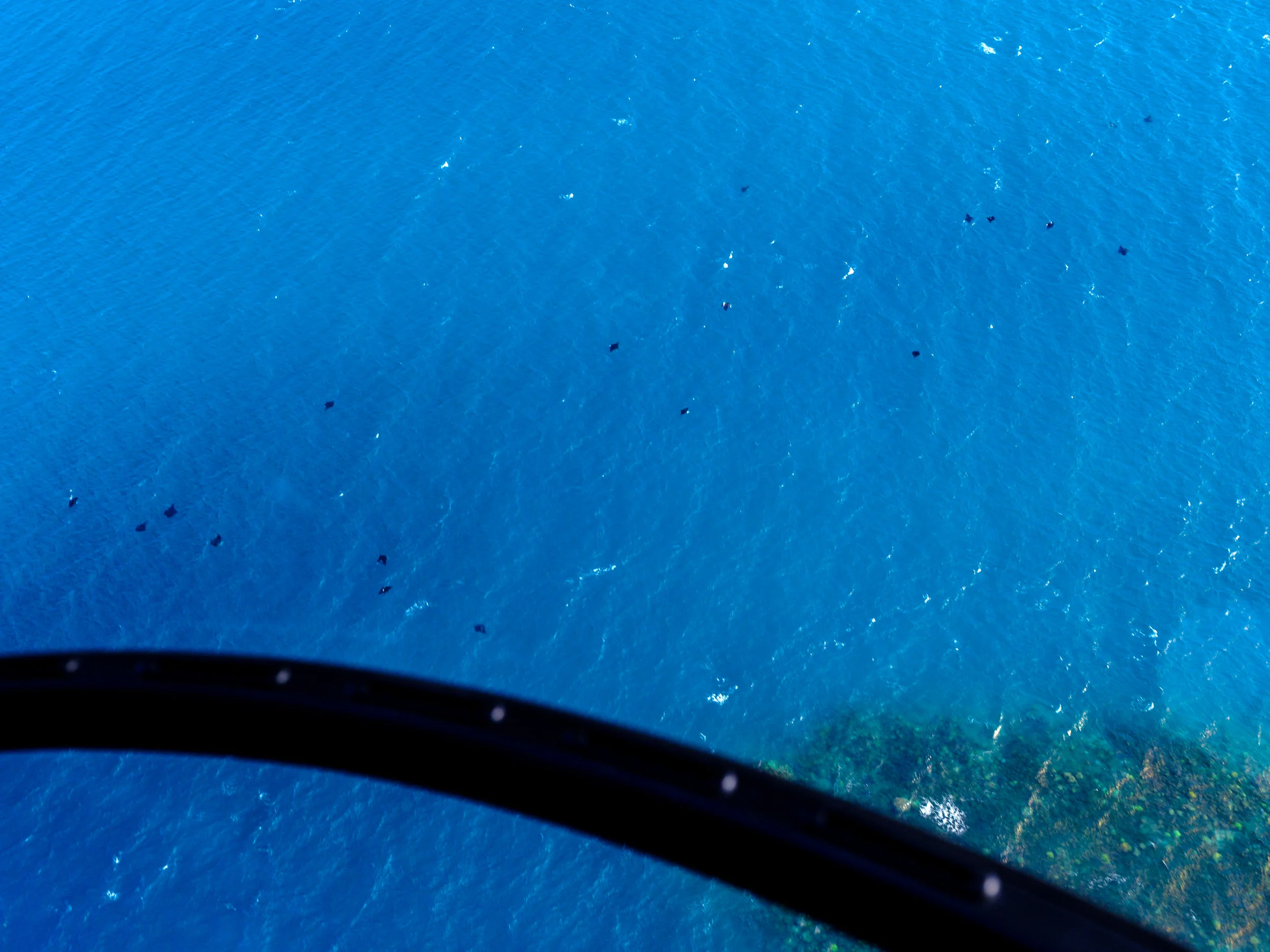 _DSF5732-2.jpg