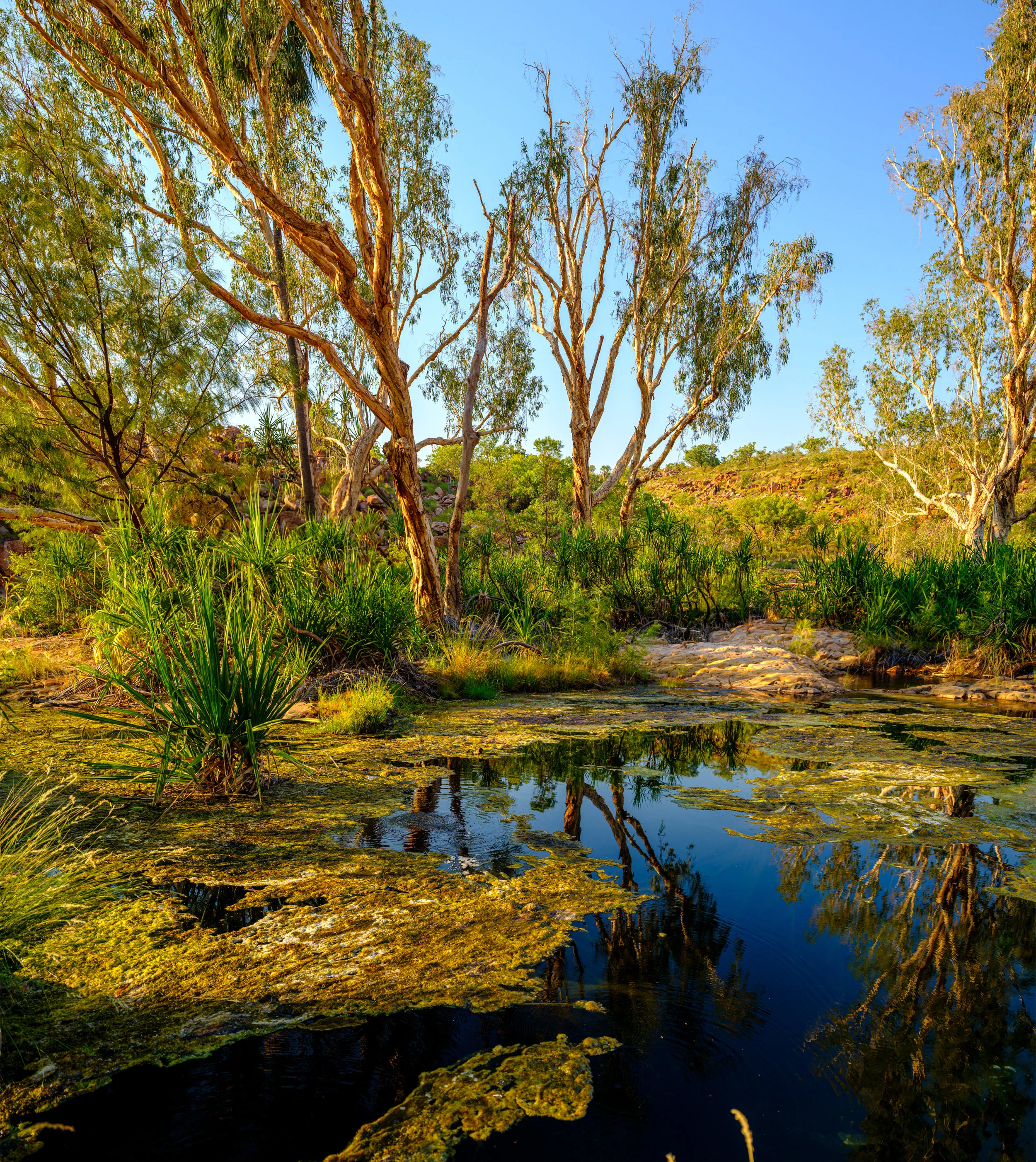 _DSF2349-Pano.jpg