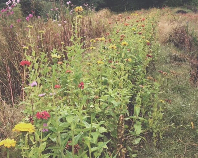 SJFC&amp;H is Moving!