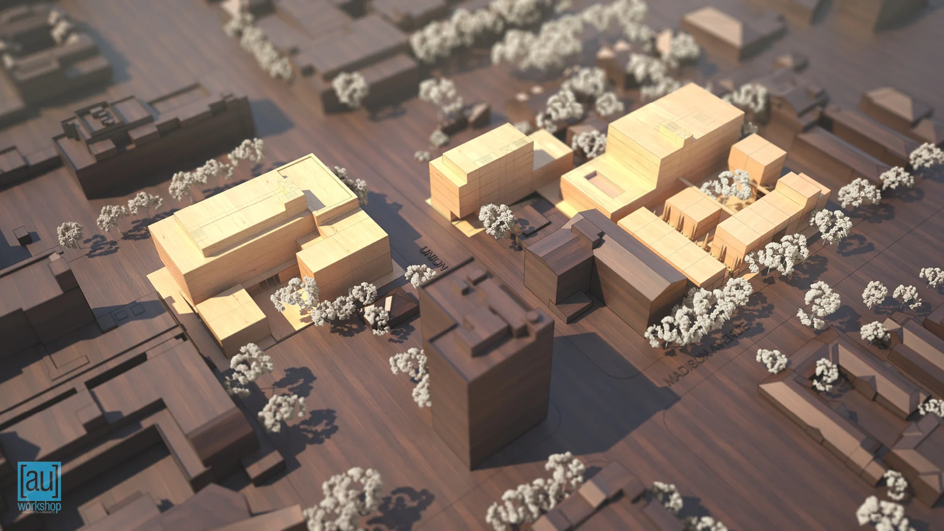 Basswood Experiments