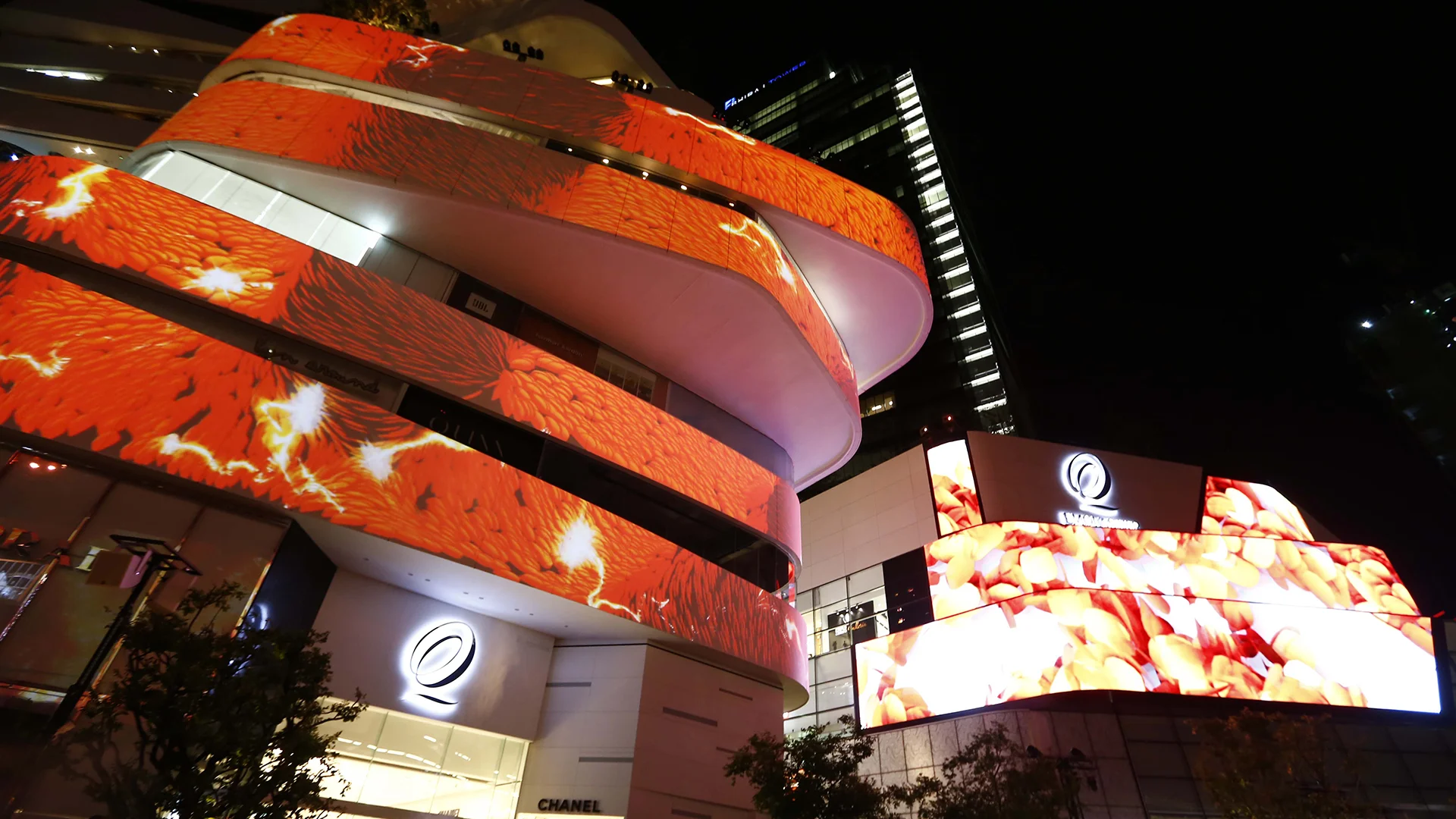 opening night 5.jpg