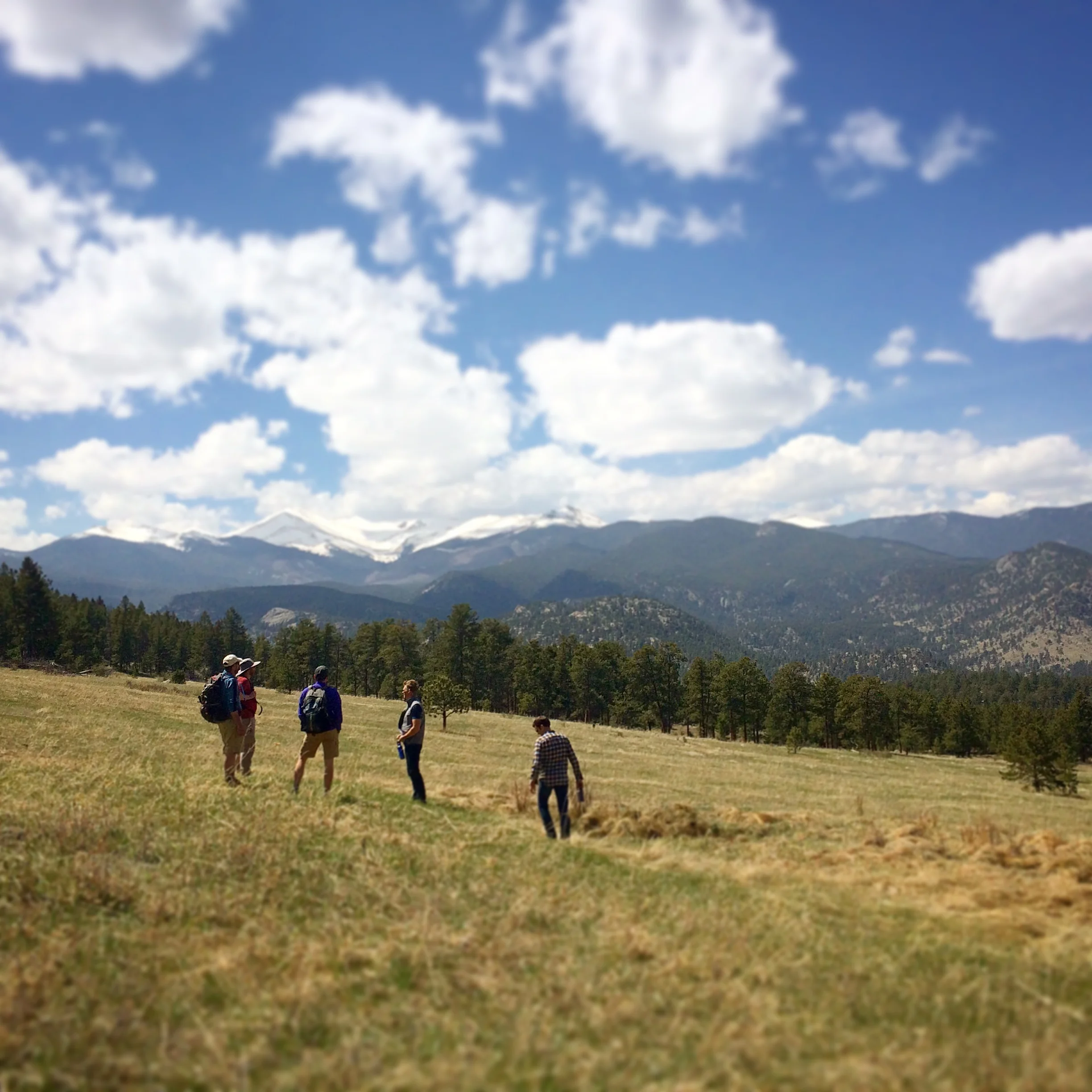Out standing in the field at Crozier Mountain.