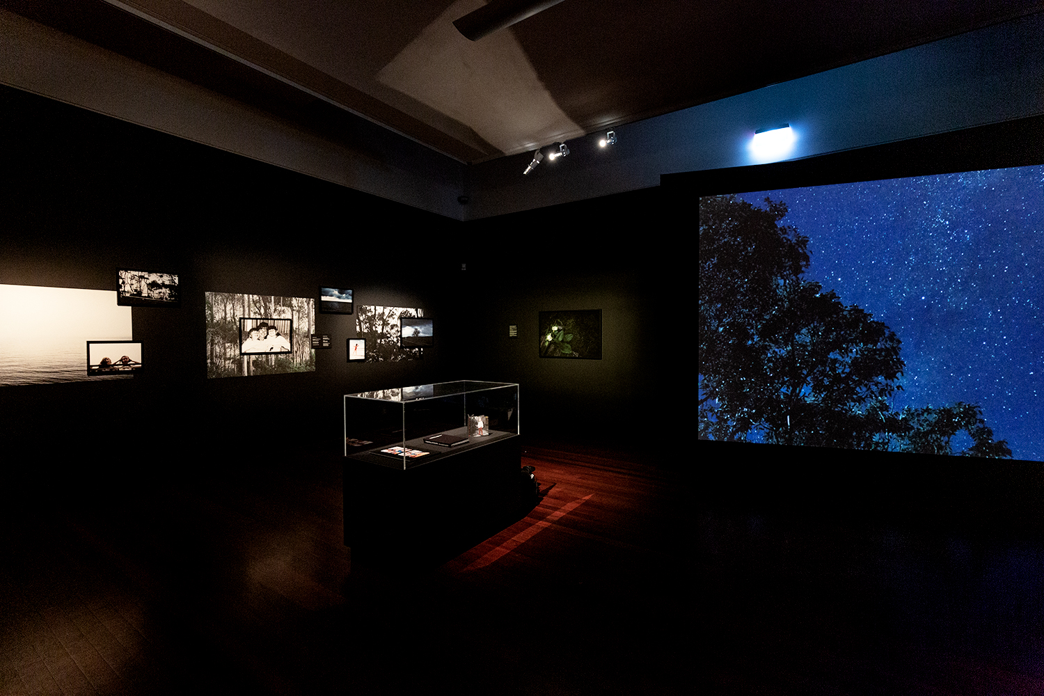  Year: 2018 - 2019  Location: Art Gallery of Ballarat  Farewell Angelina installation space, part of group exhibition, Echoes  Medium: Photomedia, sound, large format single channel video, artist’s bookwork, archival pigment prints..    Exhibition su