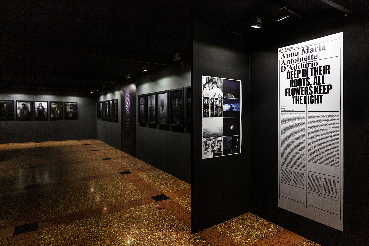  Year: 2019  Location: Ex Cavallerizza Lucca, Italy  Deep in Their Roots, All Flowers Keep the Light, exhibition, 2019 Photoboox Award at Photolux Festival International Biennale of Photography.    Medium: Photomedia, sound, retro projected single ch