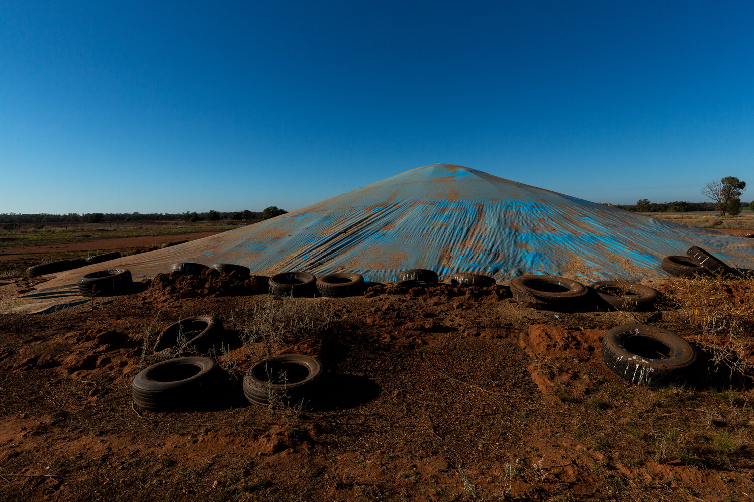  A blue tarp covering wheat grain infested with mice at the Fragar family’s farm seven hours west of Sydney, Australia. Farmers throughout the region are seeing their stocks of grains being eaten by mice. 