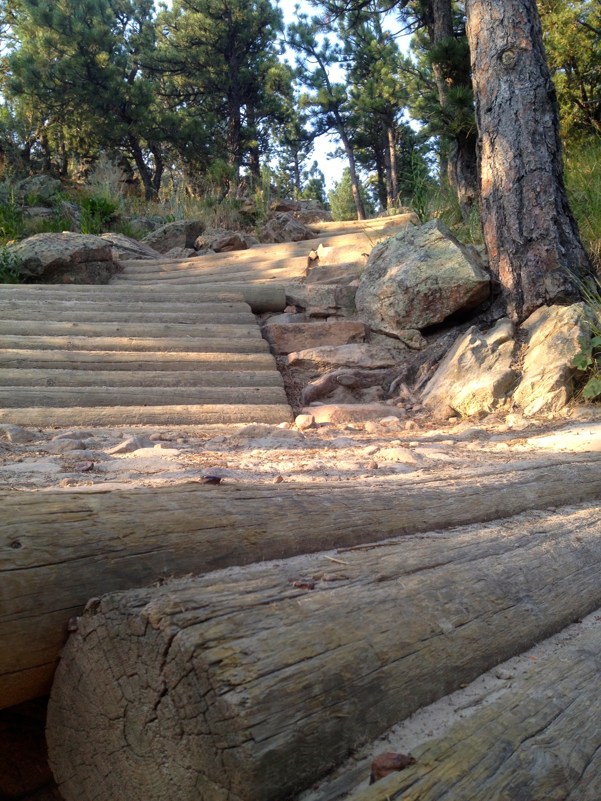 Unique trail work to aid mountain bikes through the steepest sections of the Dakota Ridge